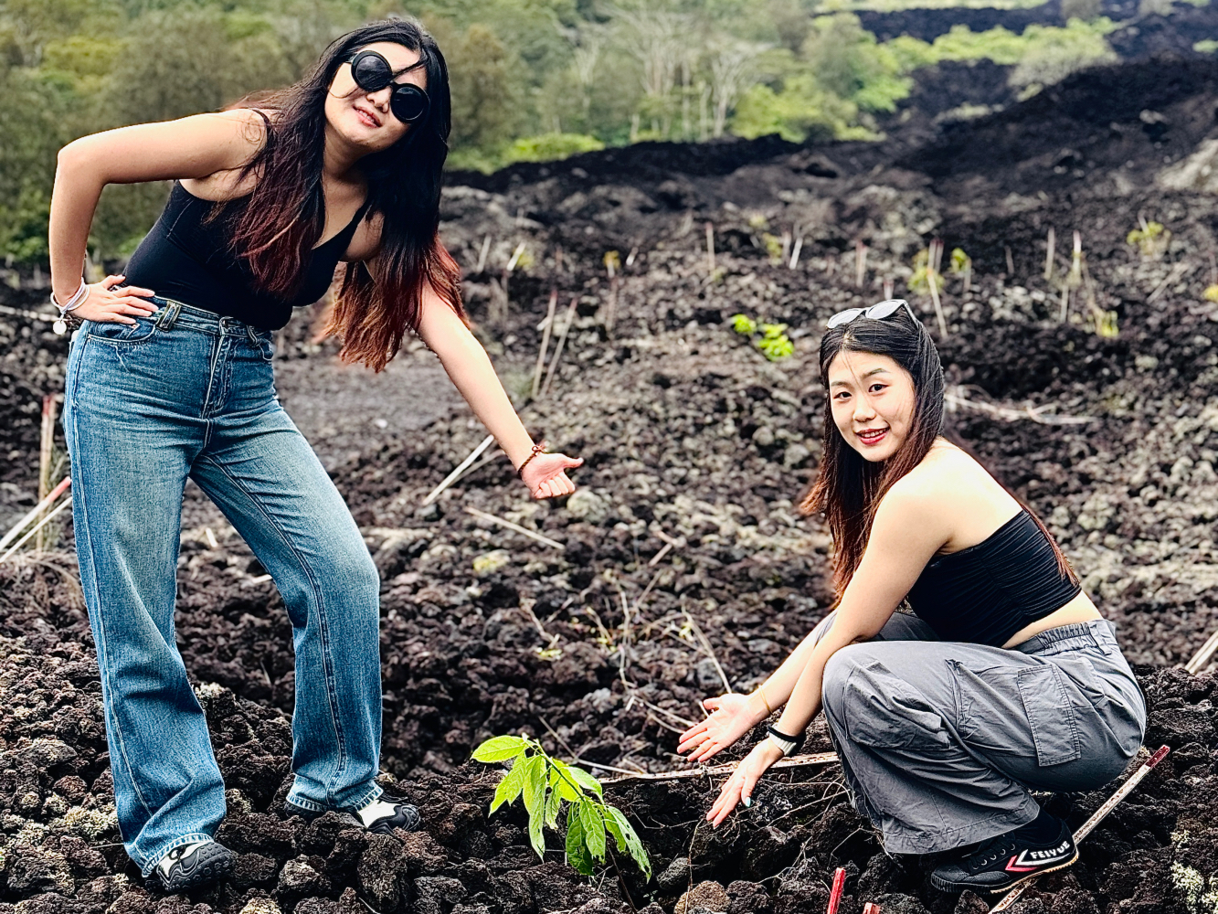 巴杜爾火山（Mount Batur）吉普車日出探險與植樹體驗