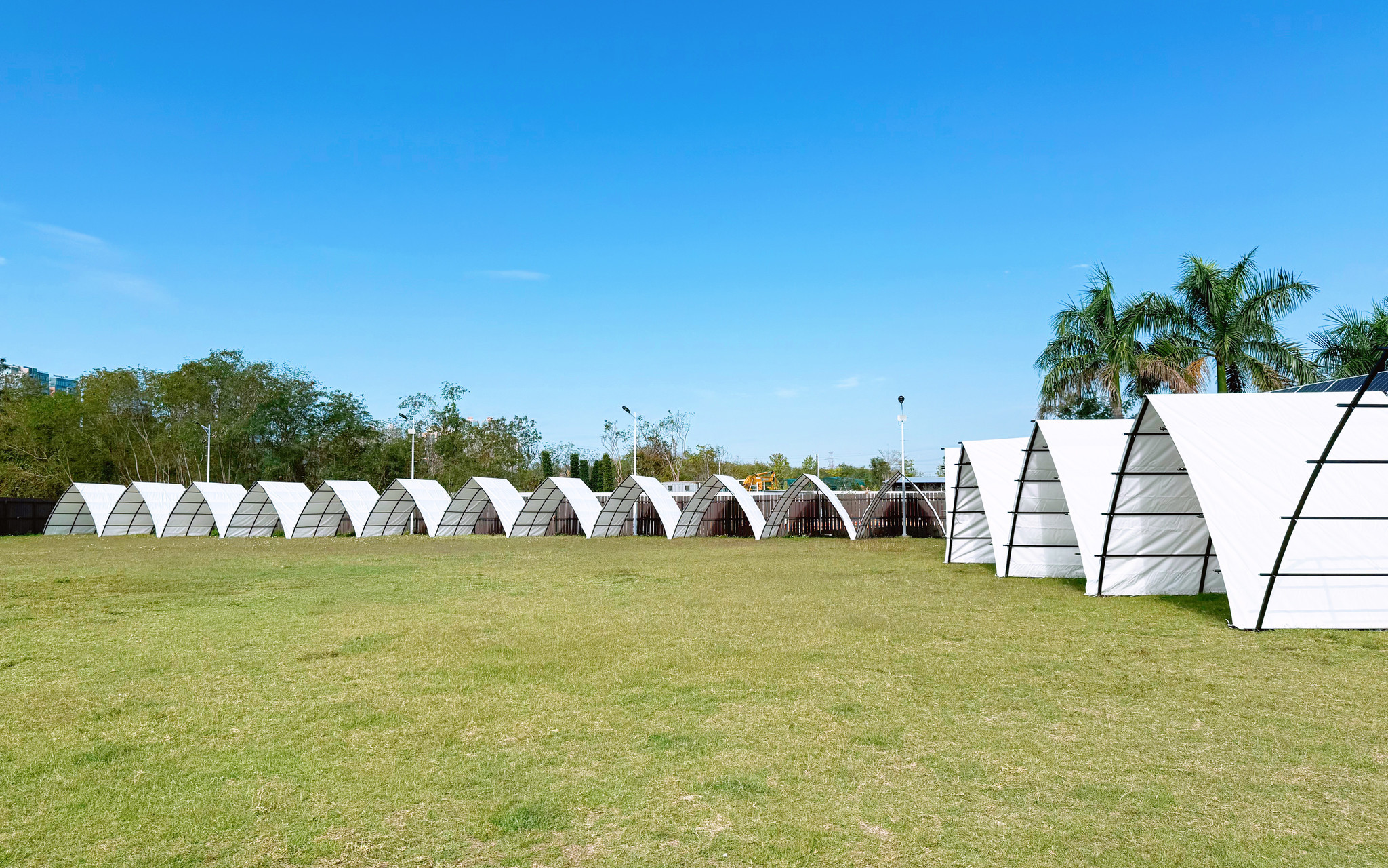 The Breeze | Camping Barbecue and Outdoor Cooking