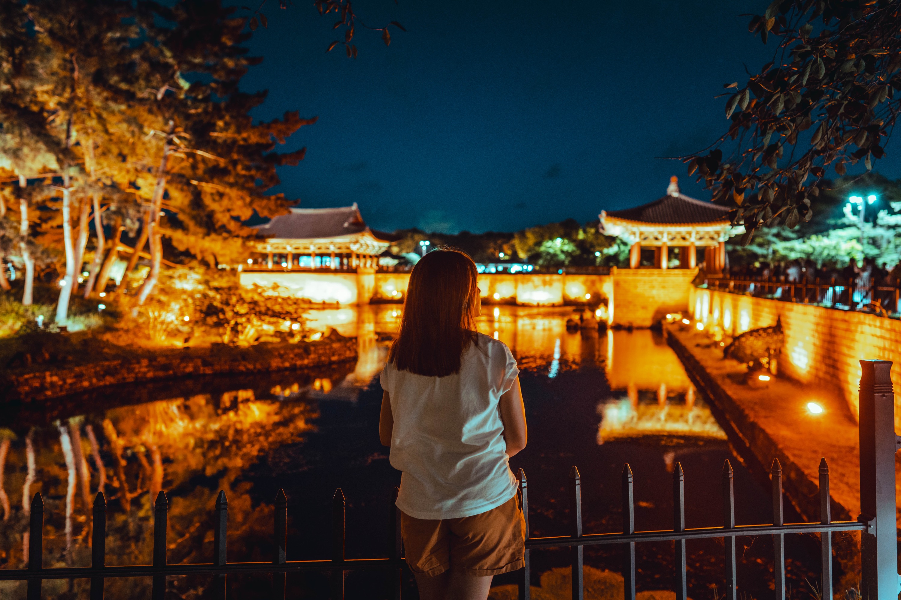 Gyeongju Small Group Full Day Photo Tour (Max. 7)