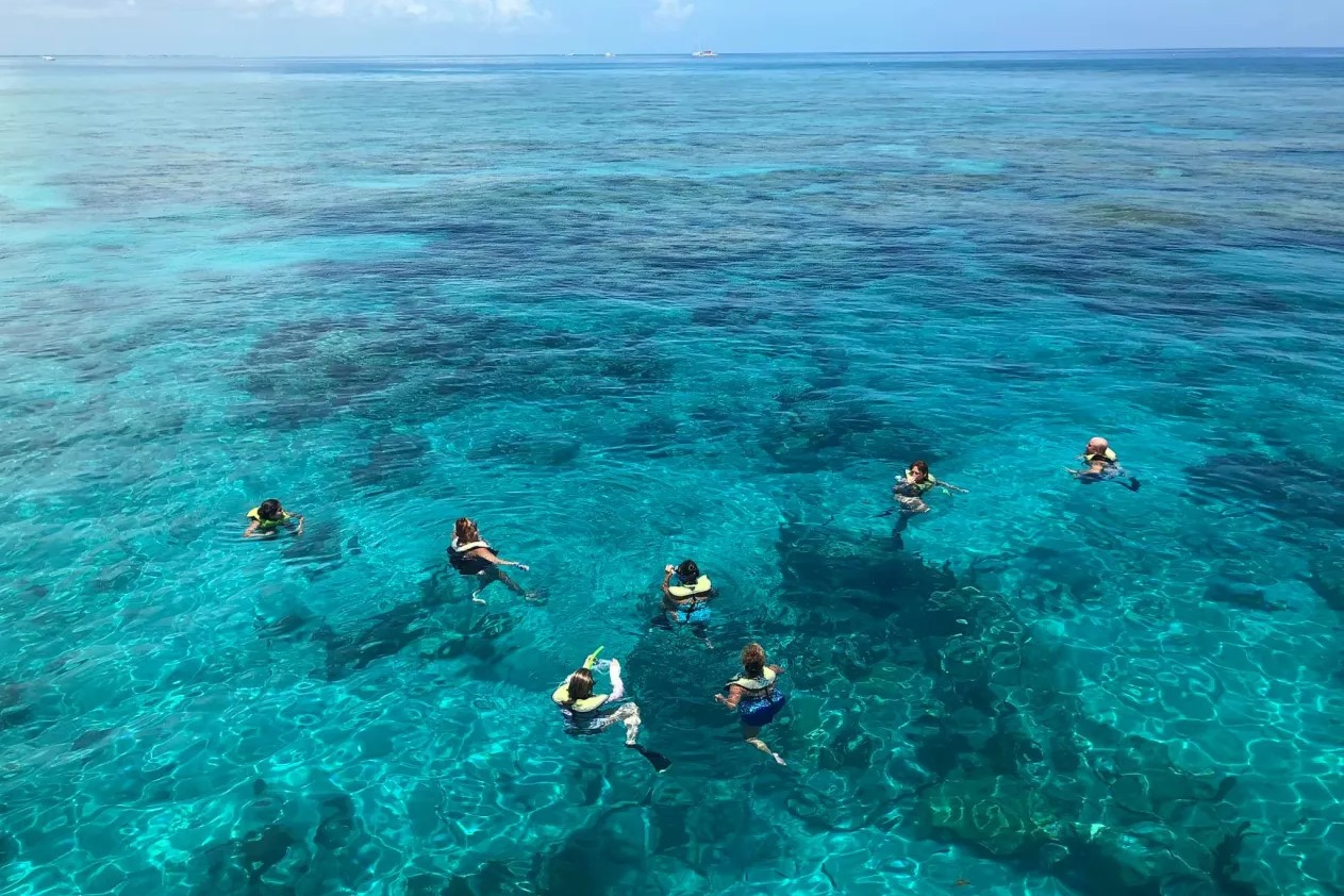基韋斯特海豚觀賞 + 浮潛 + 日落遊船