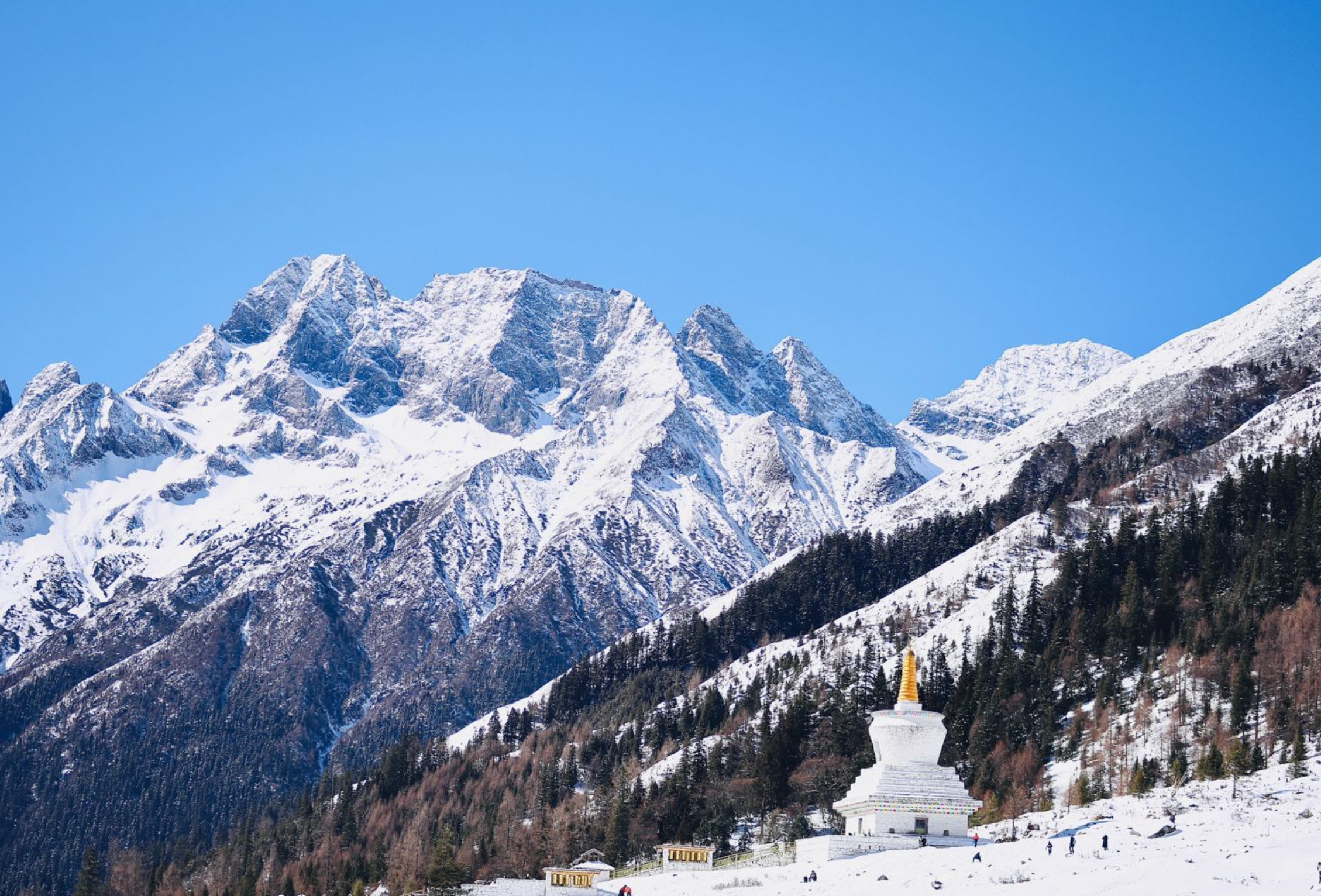 One-day nature tour to Mount Siguniang and Maobiliang in Chengdu