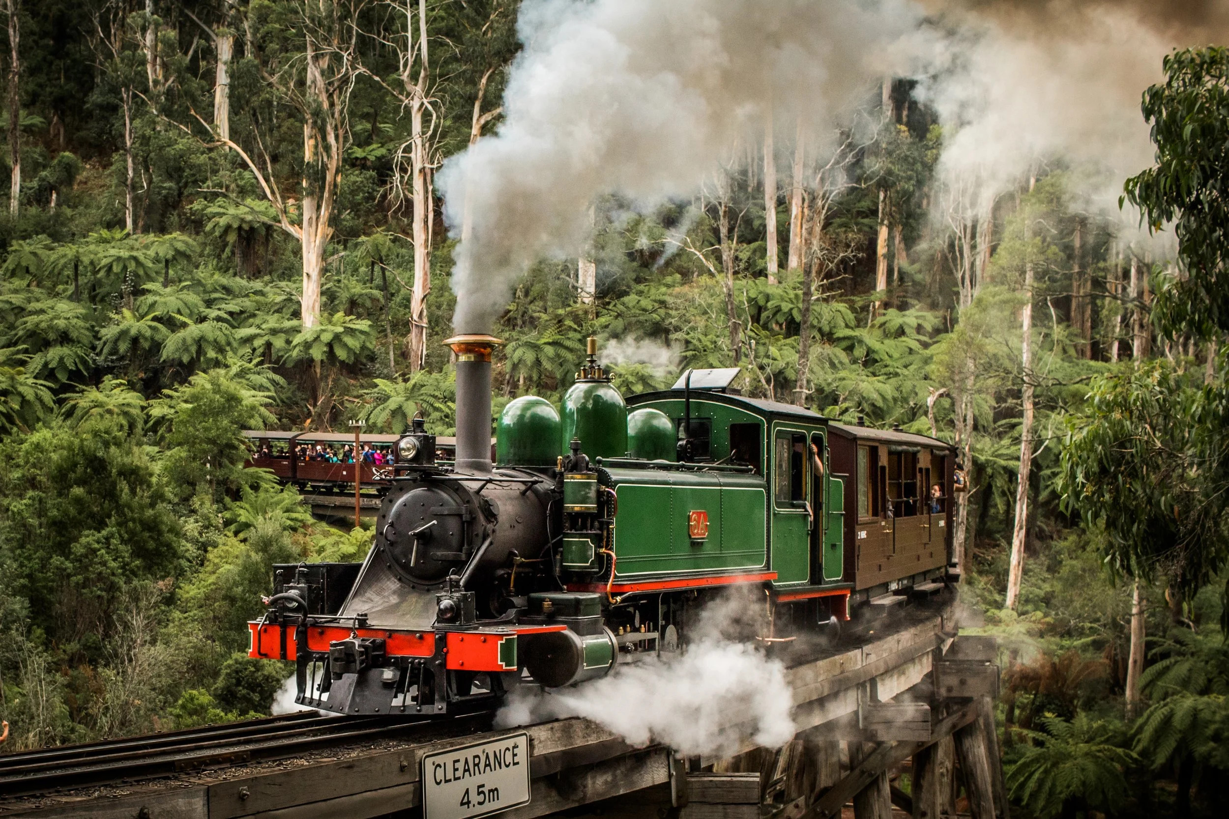 Puffing Billy & Penguin Parade Full-Day Chocolate & Wine Tasting Tour