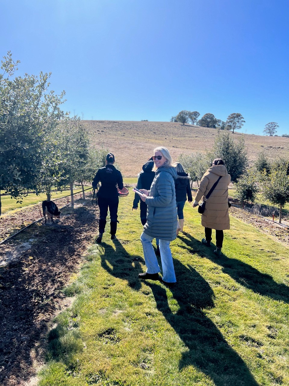 Truffle Hunt, Touch and Taste Experience in Oberon