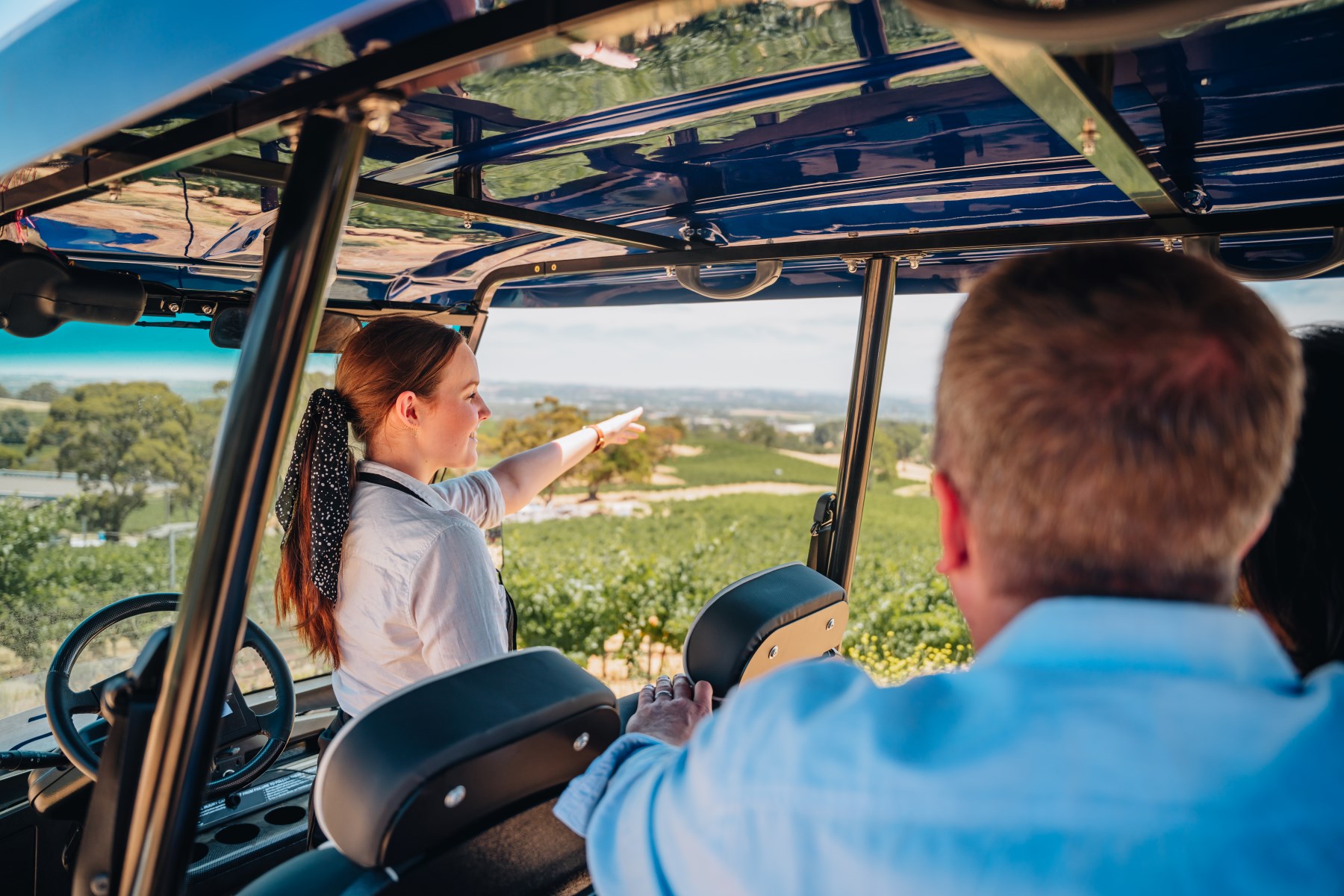 EcoVine Wineyard Explorer Guided Tour