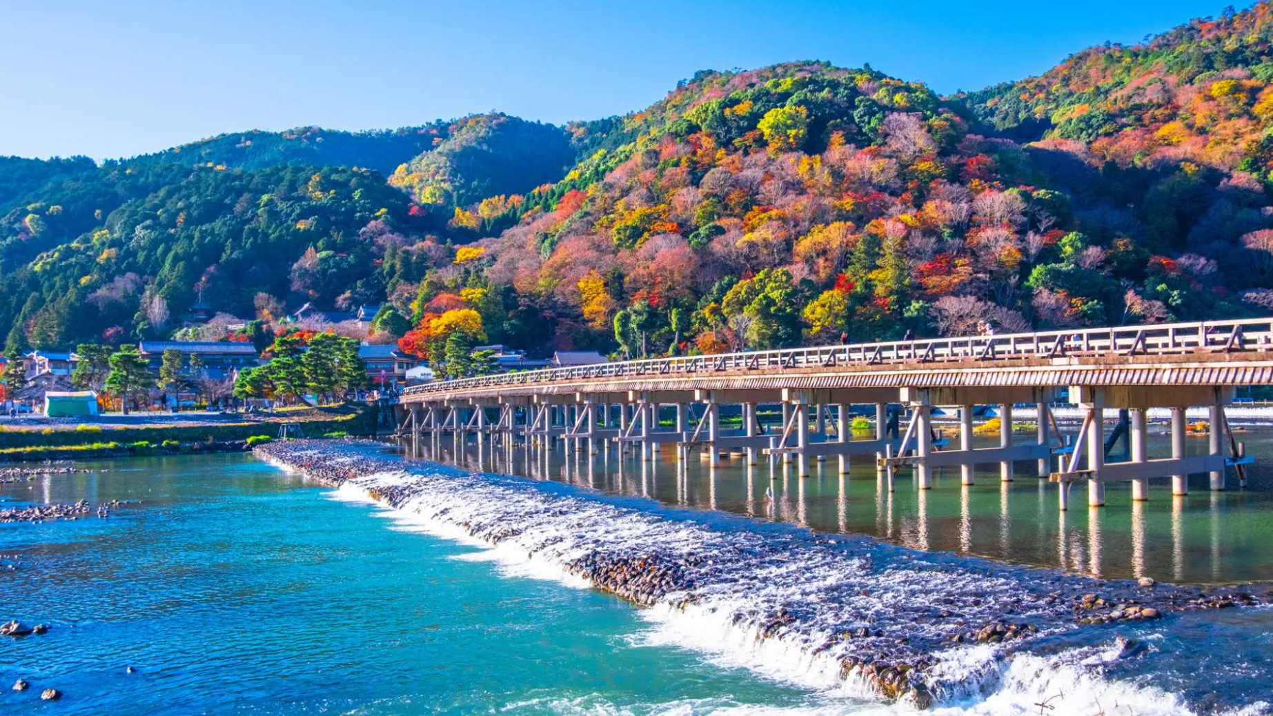 Kyoto Togetsukyo Bridge & Arashiyama Bamboo Forest Half-Day Private Nature Tour