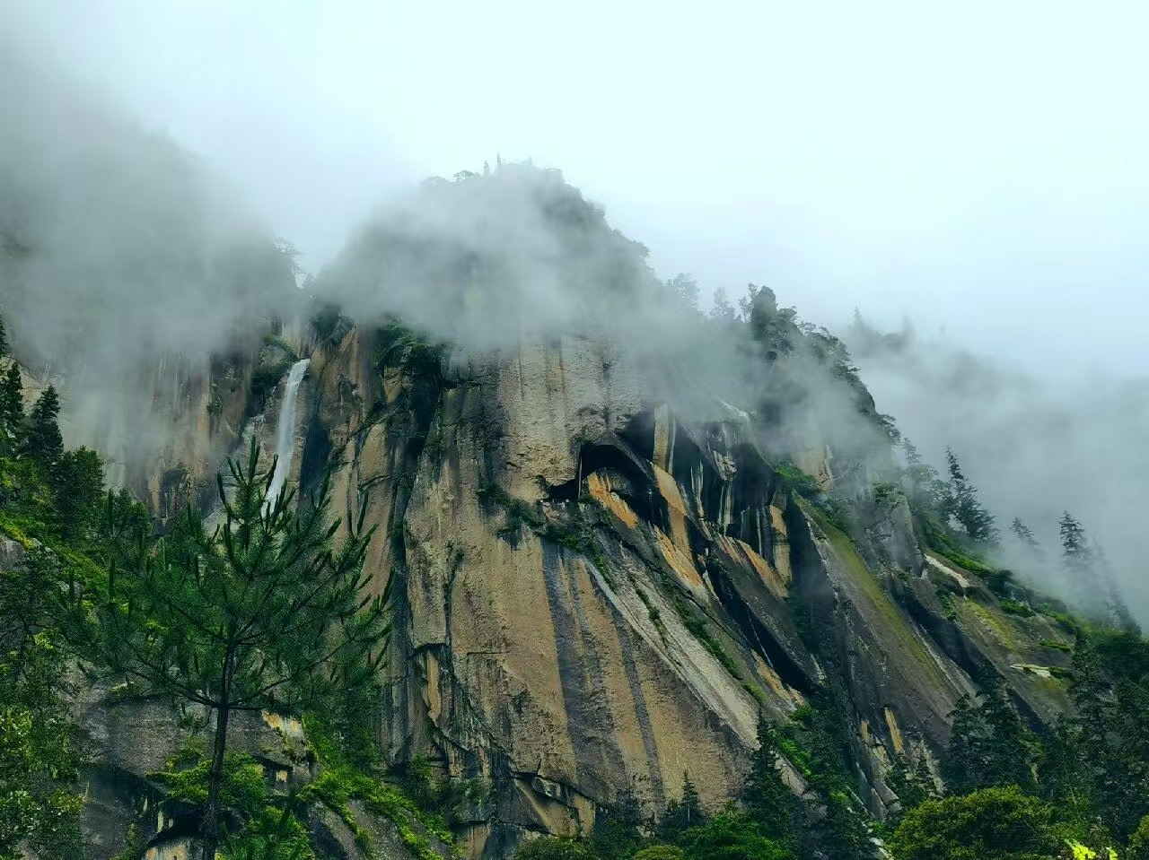 晨霧漫裹卡定溝巨型巖壁,淺色陡峭崖壁紋理縱橫,側邊瀑布隱於雲霧間。山前青松挺拔,山間草木鮮綠,朦朧霧氣讓整片峽谷仙氣繚繞,靜謐空靈 晨霧漫裹卡定溝巨型巖壁,淺色陡峭崖壁紋理縱橫,側邊瀑布隱於雲霧間。山前青松挺拔,山間草木鮮綠,朦朧霧氣讓整片峽谷仙氣繚繞,靜謐空靈