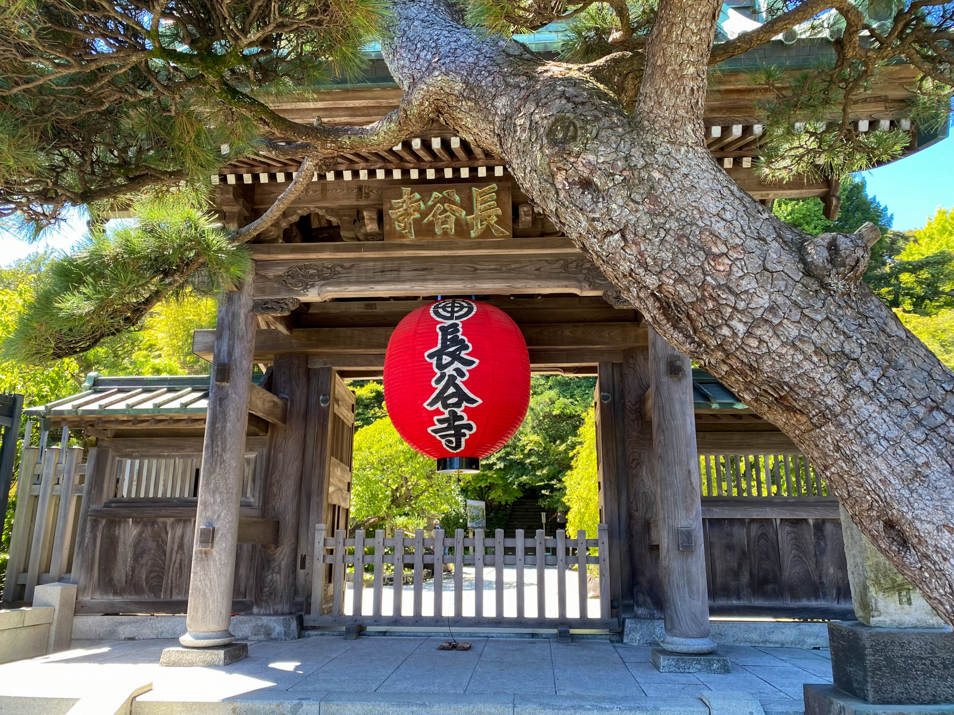 東京鎌倉 & 江之島一日遊