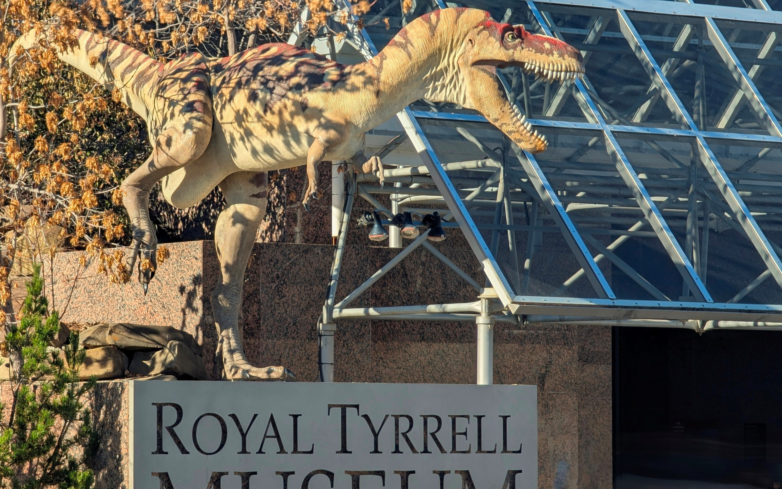 Royal Tyrrell Museum & Drumheller Hoodoos one-day canyon tour