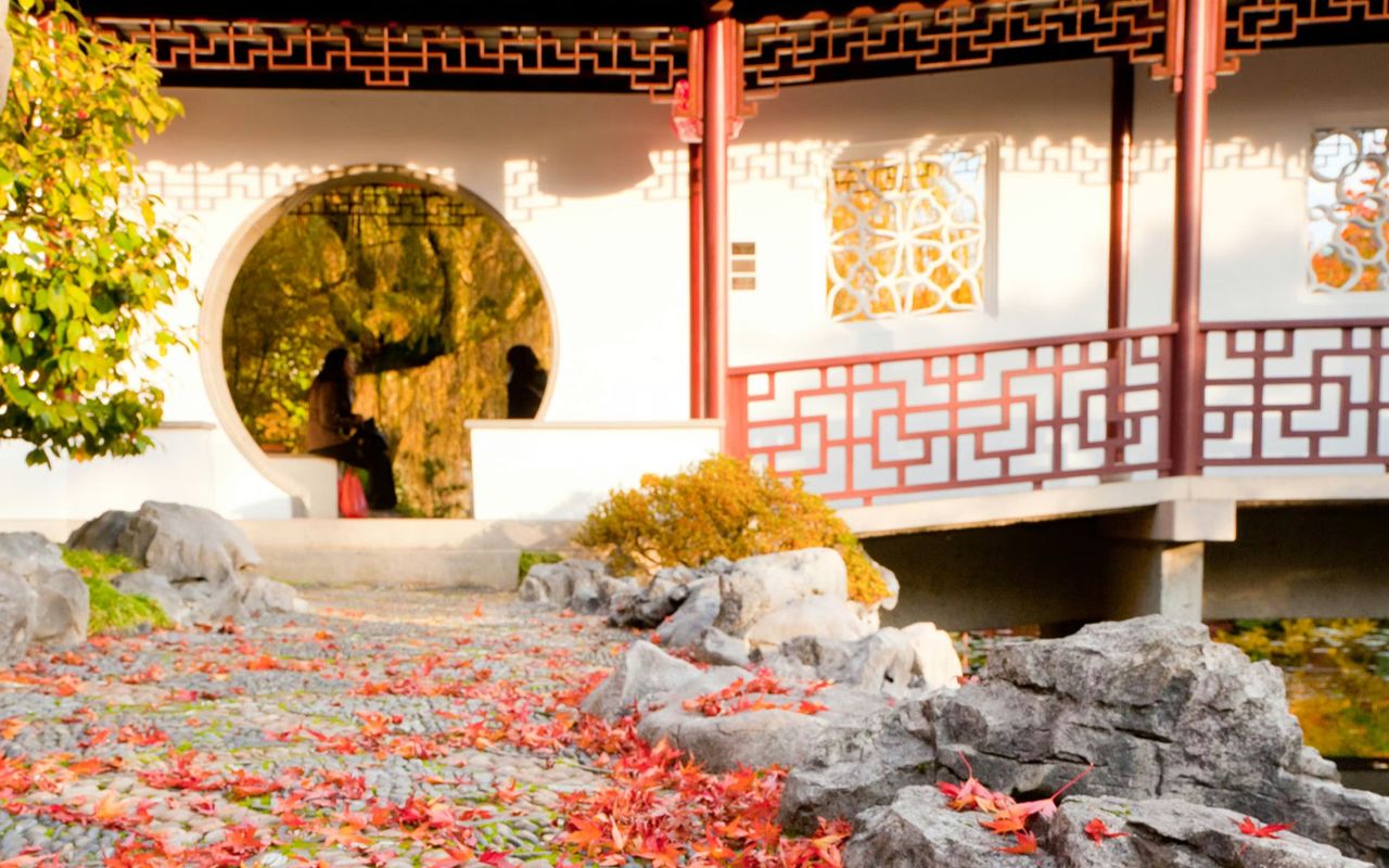 體驗秋日繽紛藝術：紅葉彩繪庭園幽徑