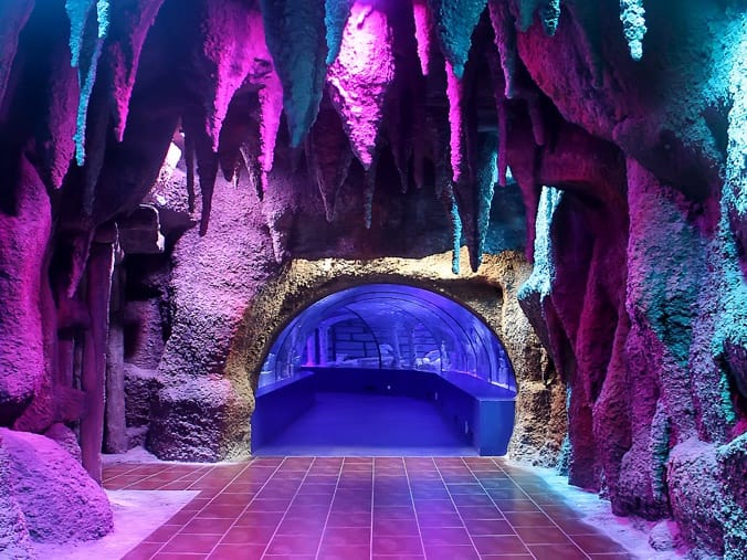 安塔利亞水族館之旅（含門票＆接送）- 阿拉尼亞出發
