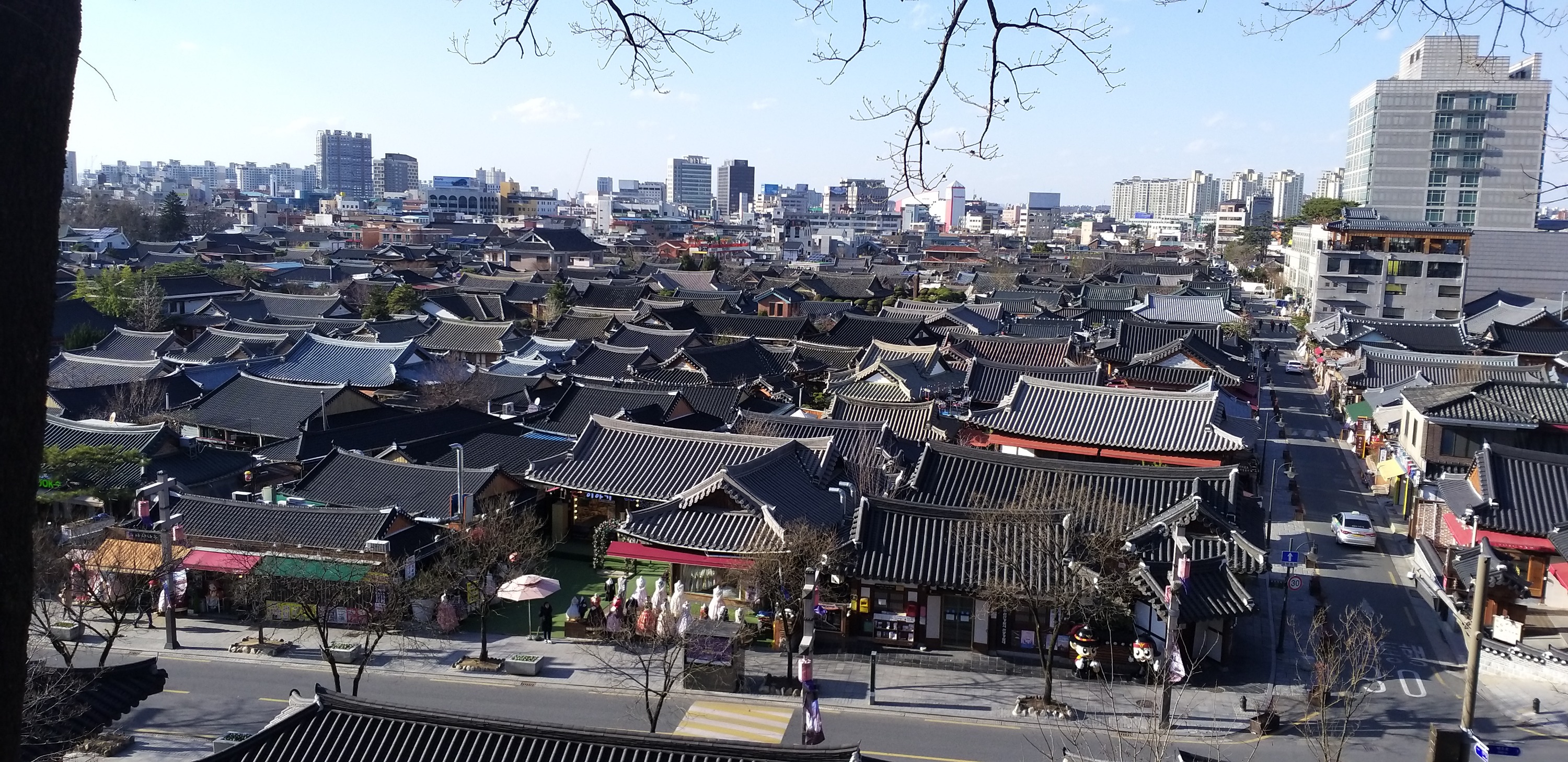 韓國光陽梅花 & 全州韓村屋之旅（首爾出發）