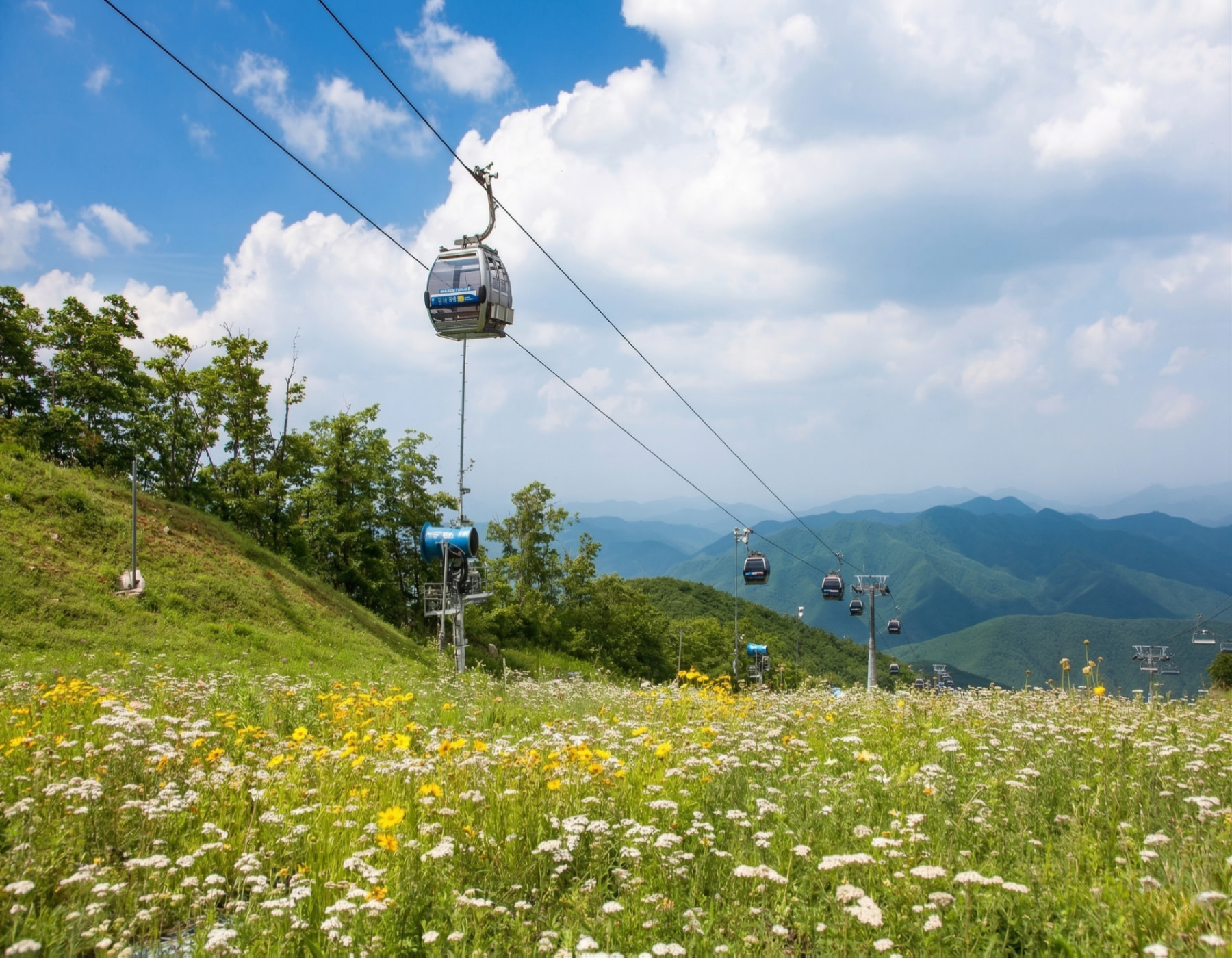 🚠「花田空中漫步」搭乘觀光纜車飛越丹陽的翠綠山巒和繽紛花海。腳下壯麗的全景將成為您旅程的終極亮點。