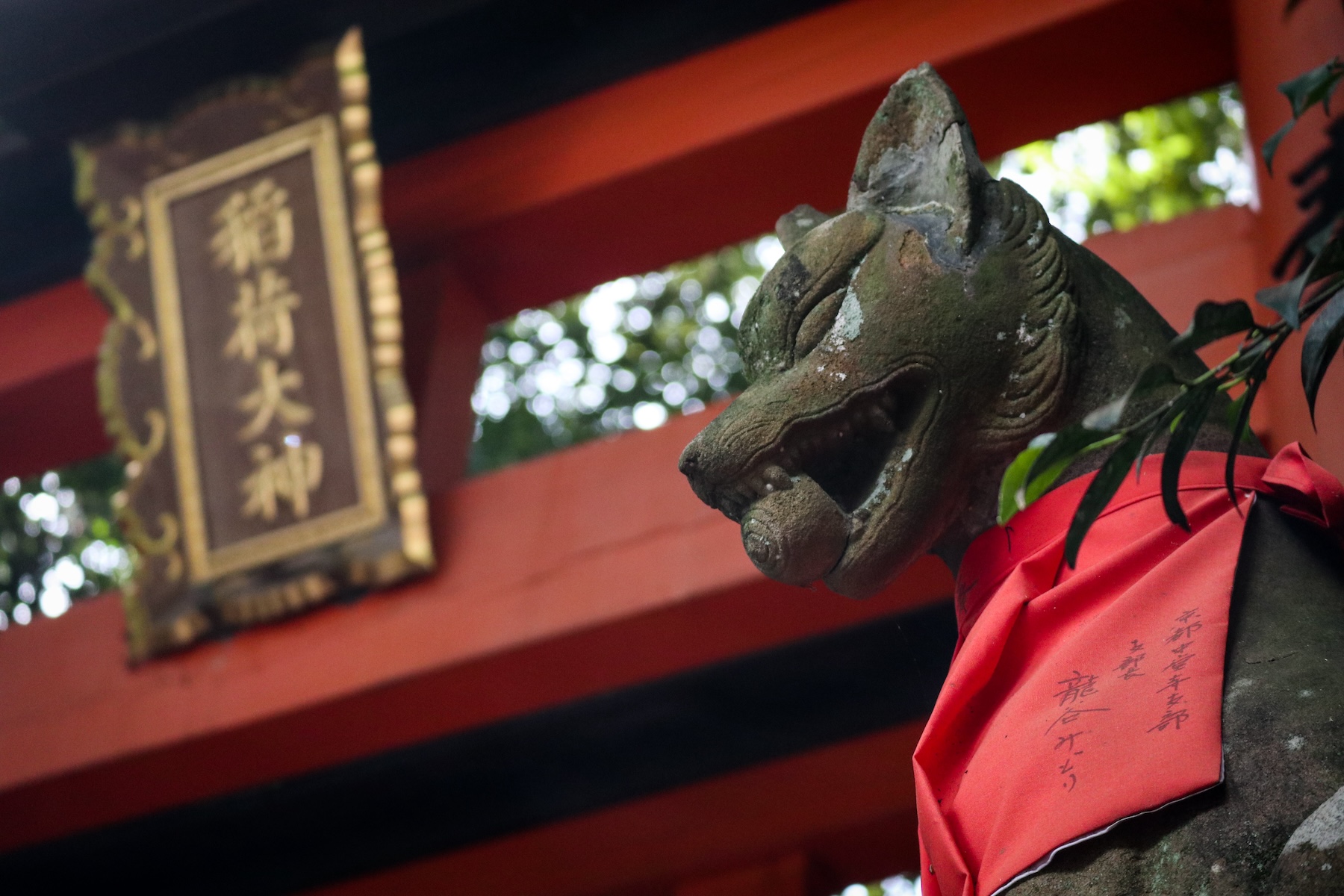 漫步於寧靜優美的步道,領略日本的真正魅力。 漫步於寧靜優美的步道,領略日本的真正魅力。