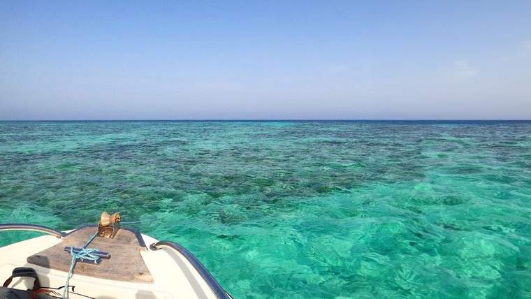 Al Balad One-Day Bayada Island Cruise with Swimming