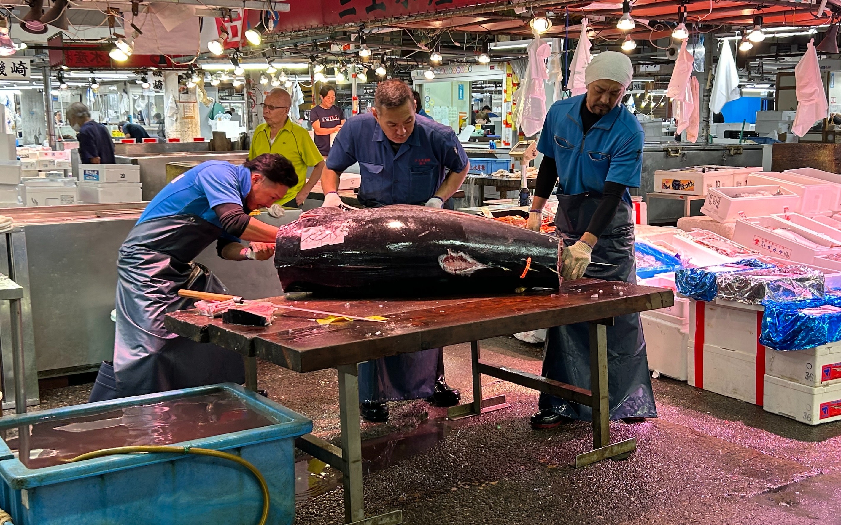 Tokyo Adachi Fish Market Half-Day Small Group Walking Tour