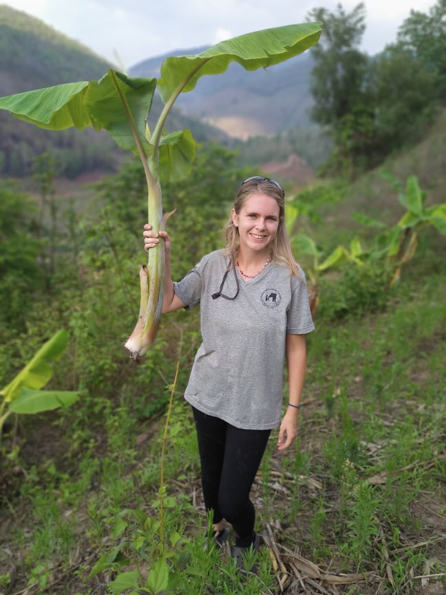 Chiang Mai: Reforestation and Adventure