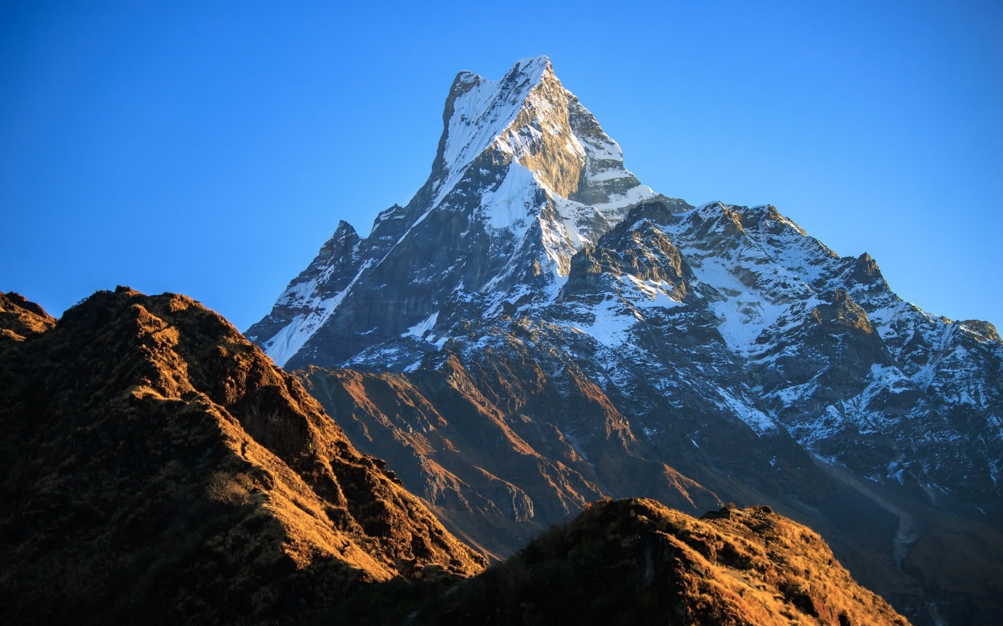 Mardi Himal Base Camp 5-Day Trek from Pokhara