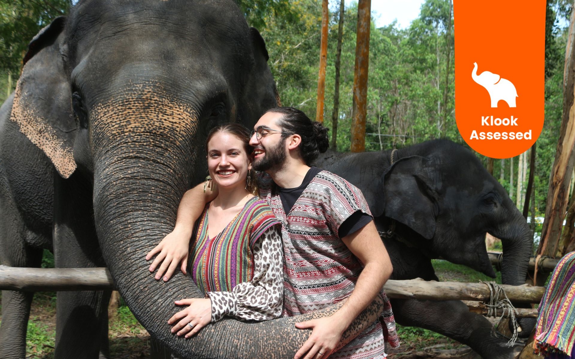 Naidee Elephant Care Park Experience in Phuket