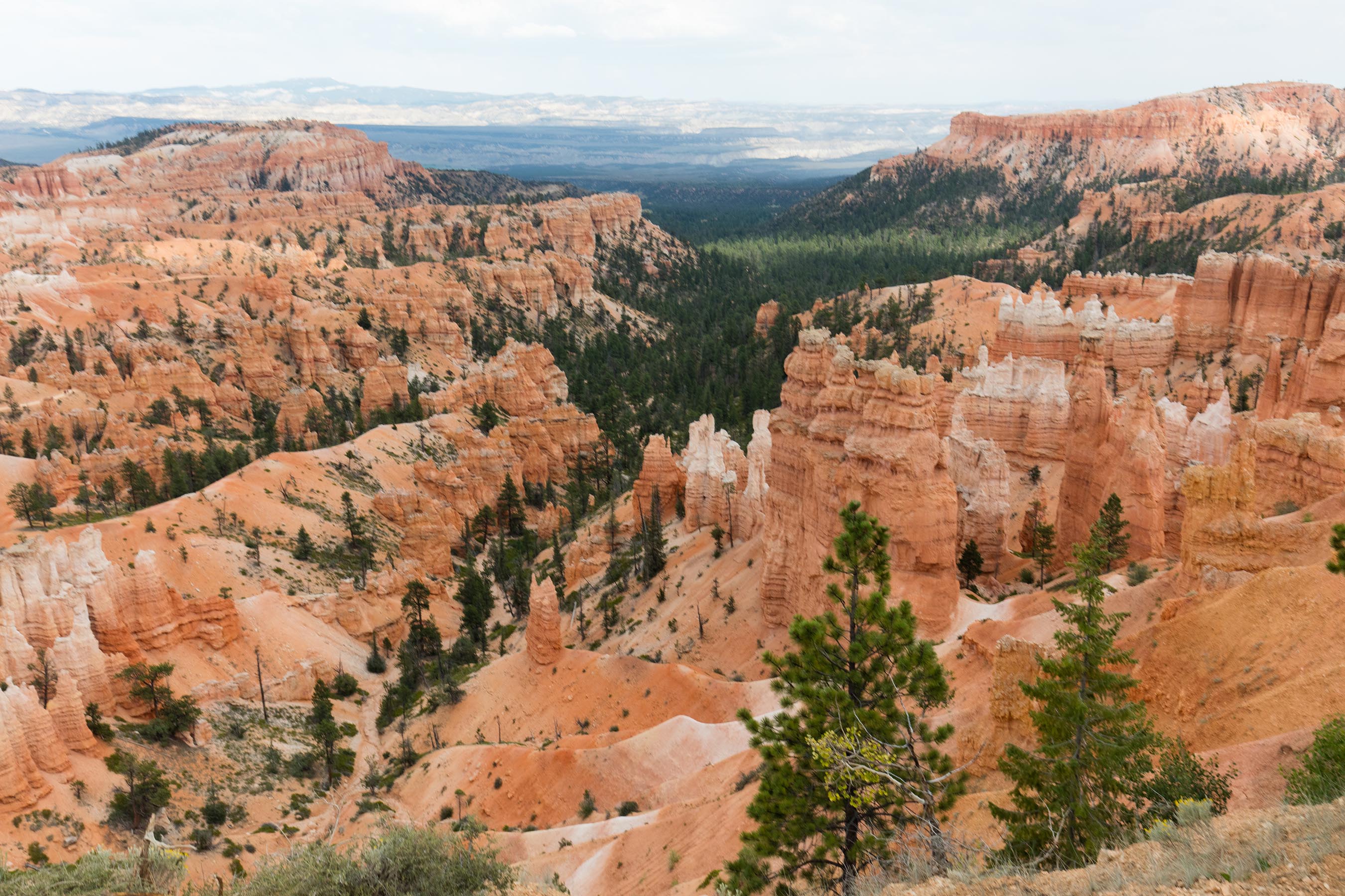 3-Day Bryce, Zion, and Grand Canyon Tour from Las Vegas