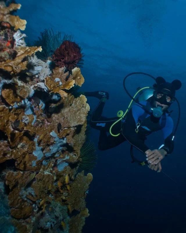 加利拉港潛水體驗（PADI五星級潛水中心）