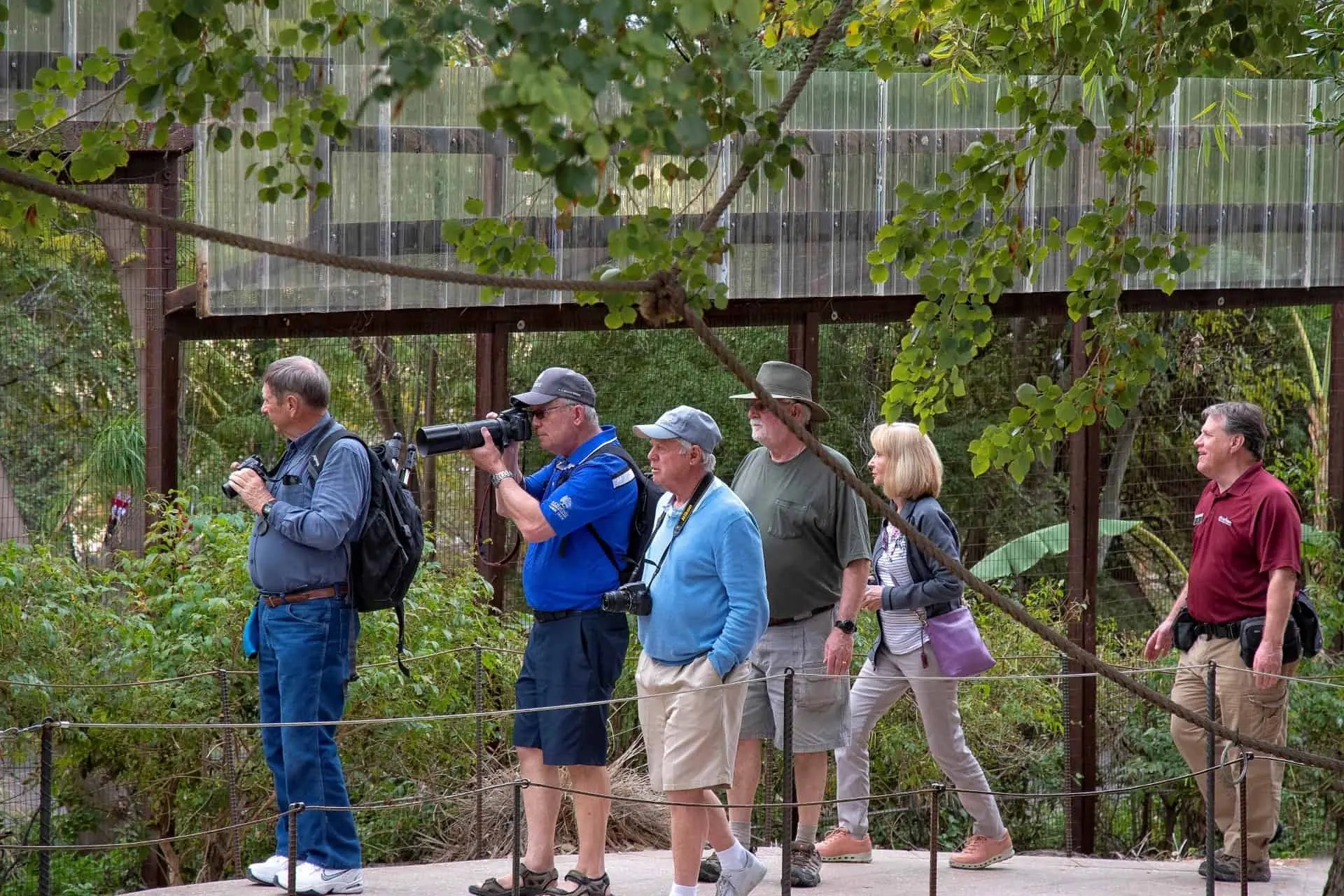 在這片沙漠綠洲中，近距離接觸活潑的紅毛猩猩、威武的獅子和色彩繽紛的鳥類。