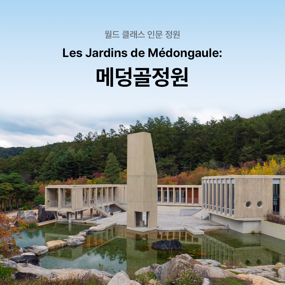 Medongaule Ticket