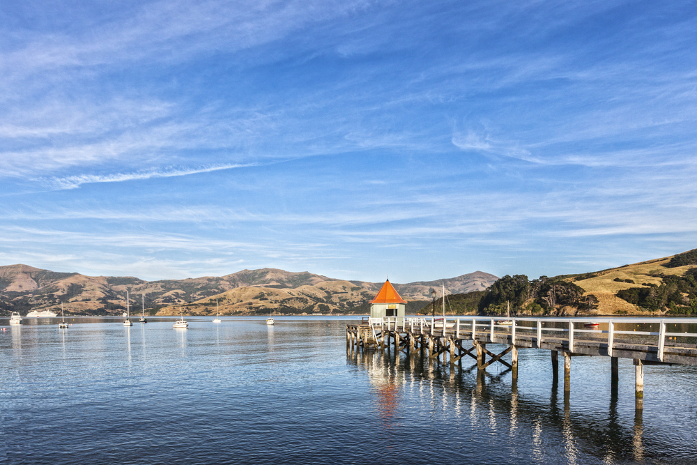 Akaroa Harbour Nature Cruise