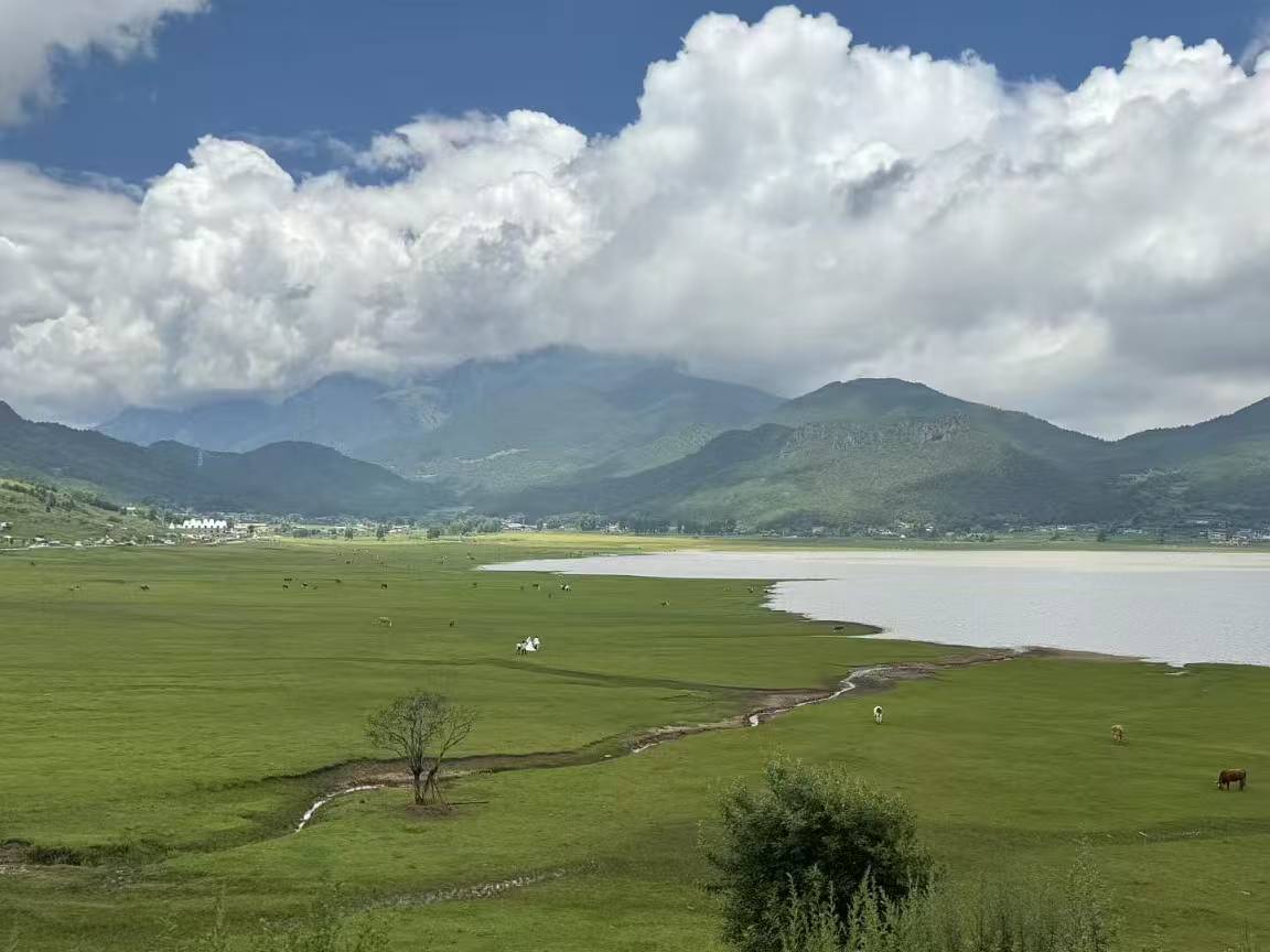 Then we arrived at Napahai, the largest grassland in Zhongdian County and one of the most plateau-featured scenic spots. Thanks to the careful care of the Tibetans, many birds visit here every autumn, such as black-necked cranes, yellow ducks, and bar-hea