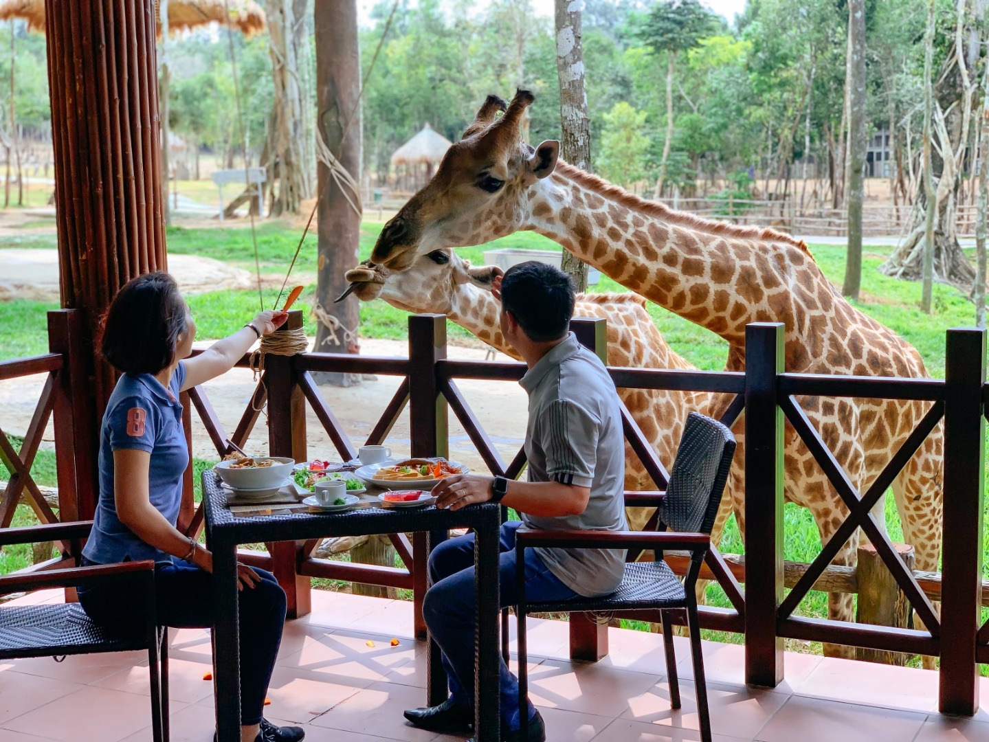 富國島野生動物園門票