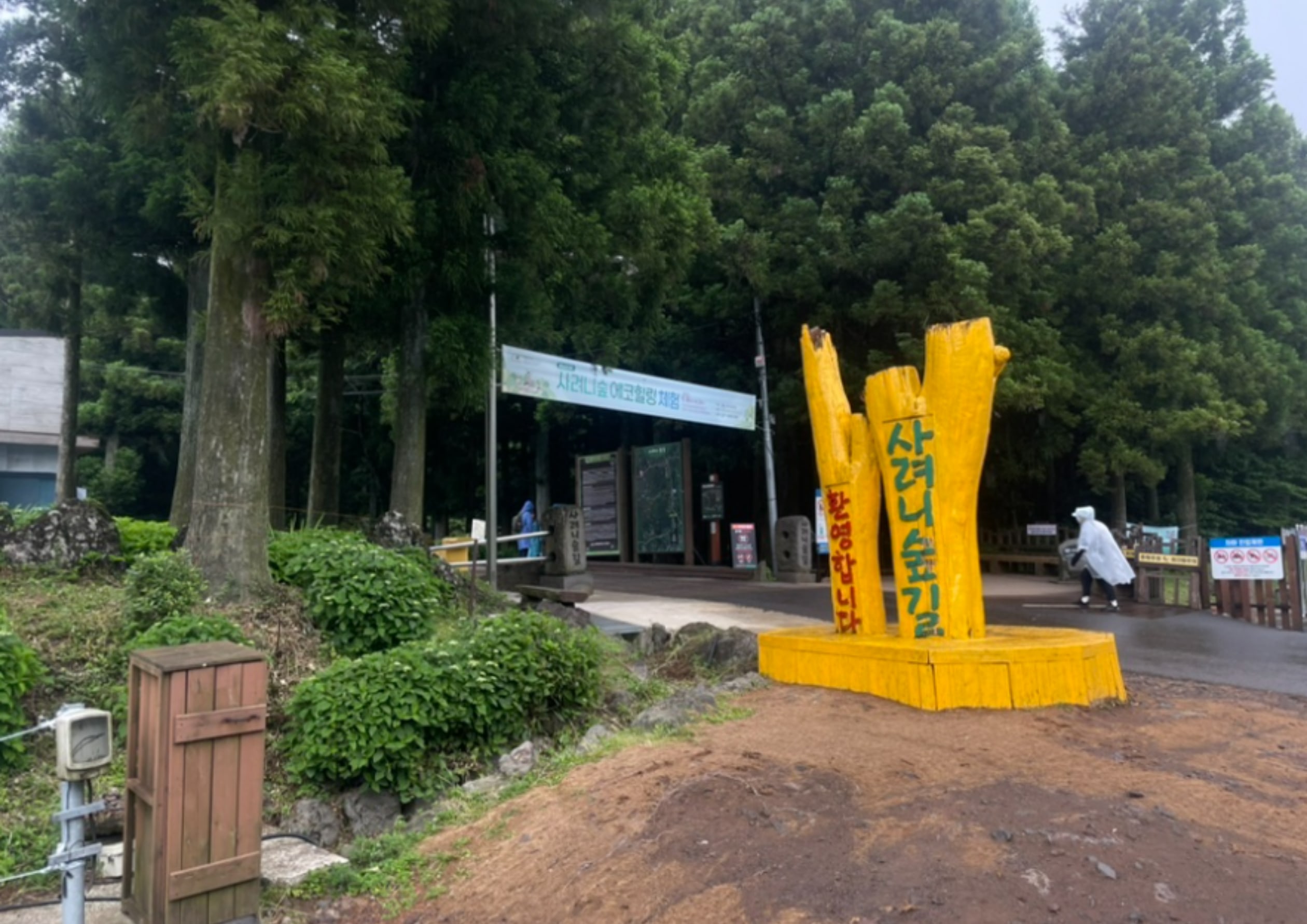 紗里峨岳森林小徑