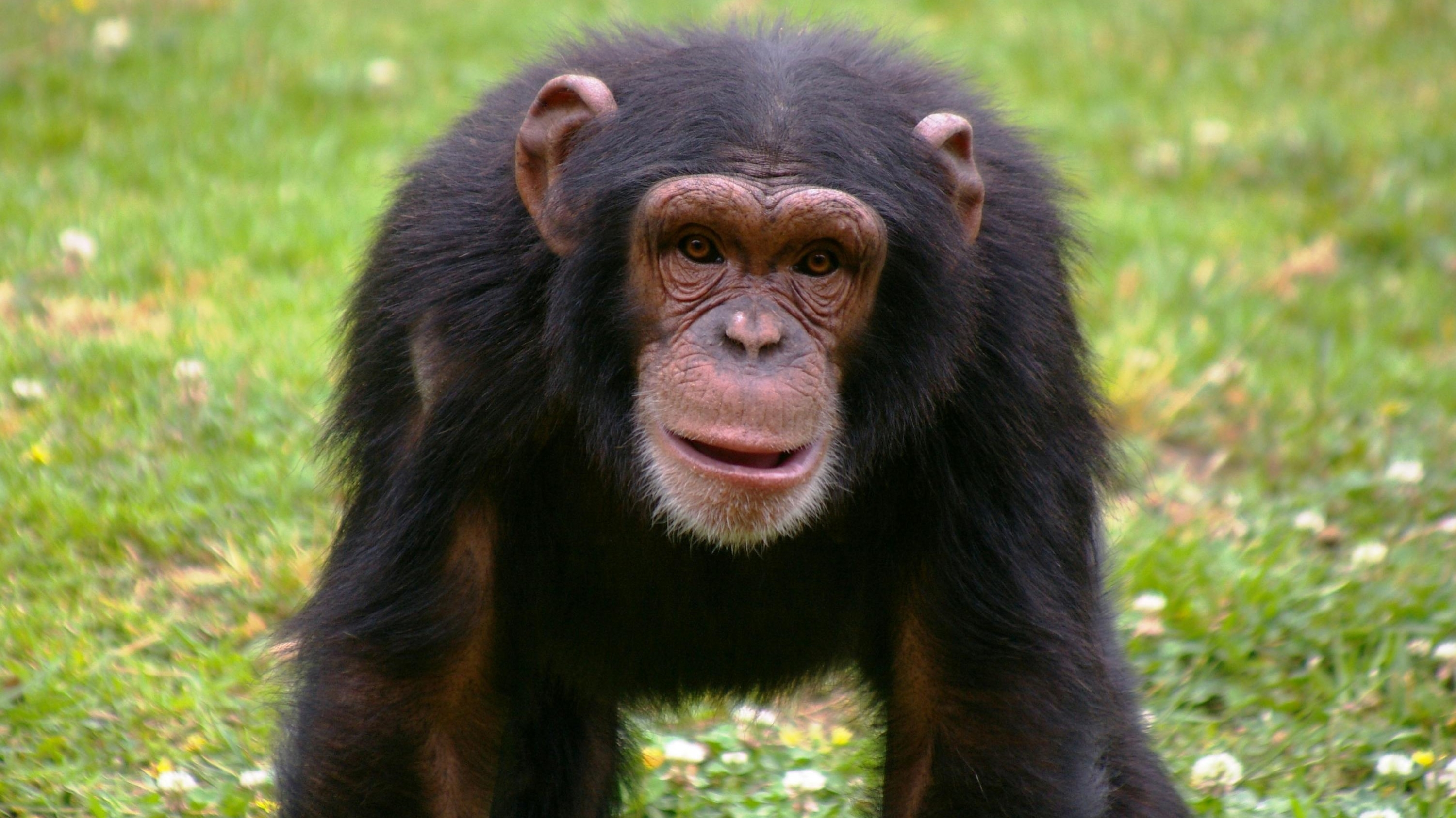 里斯本動物園 (Lisbon Zoo) 門票