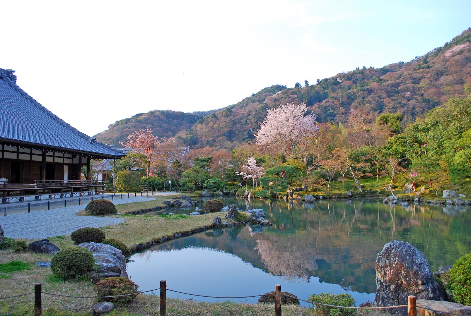 春季的天龍寺 春季的天龍寺