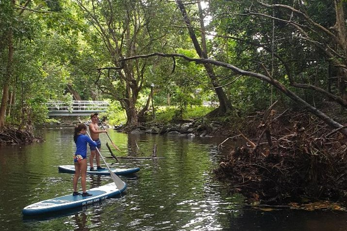 Rainforest Kayaking in Cairns