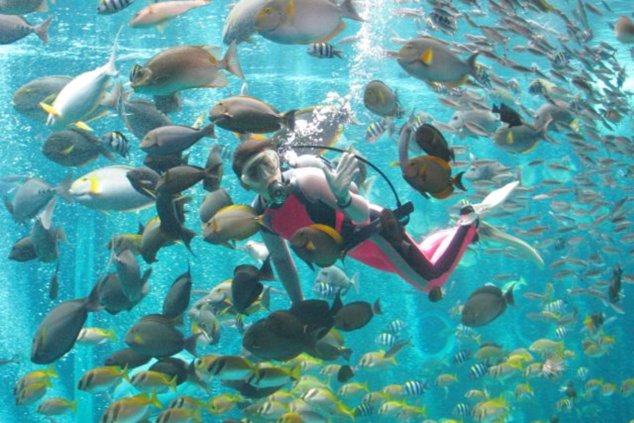箱根園水族館門票