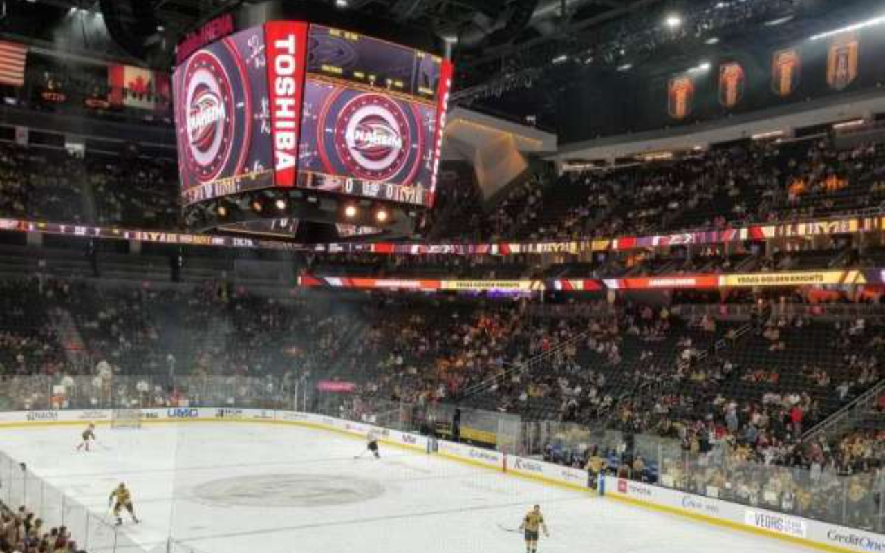 在競技場的每個角落，親眼見證金騎士隊的快節奏比賽精彩展開