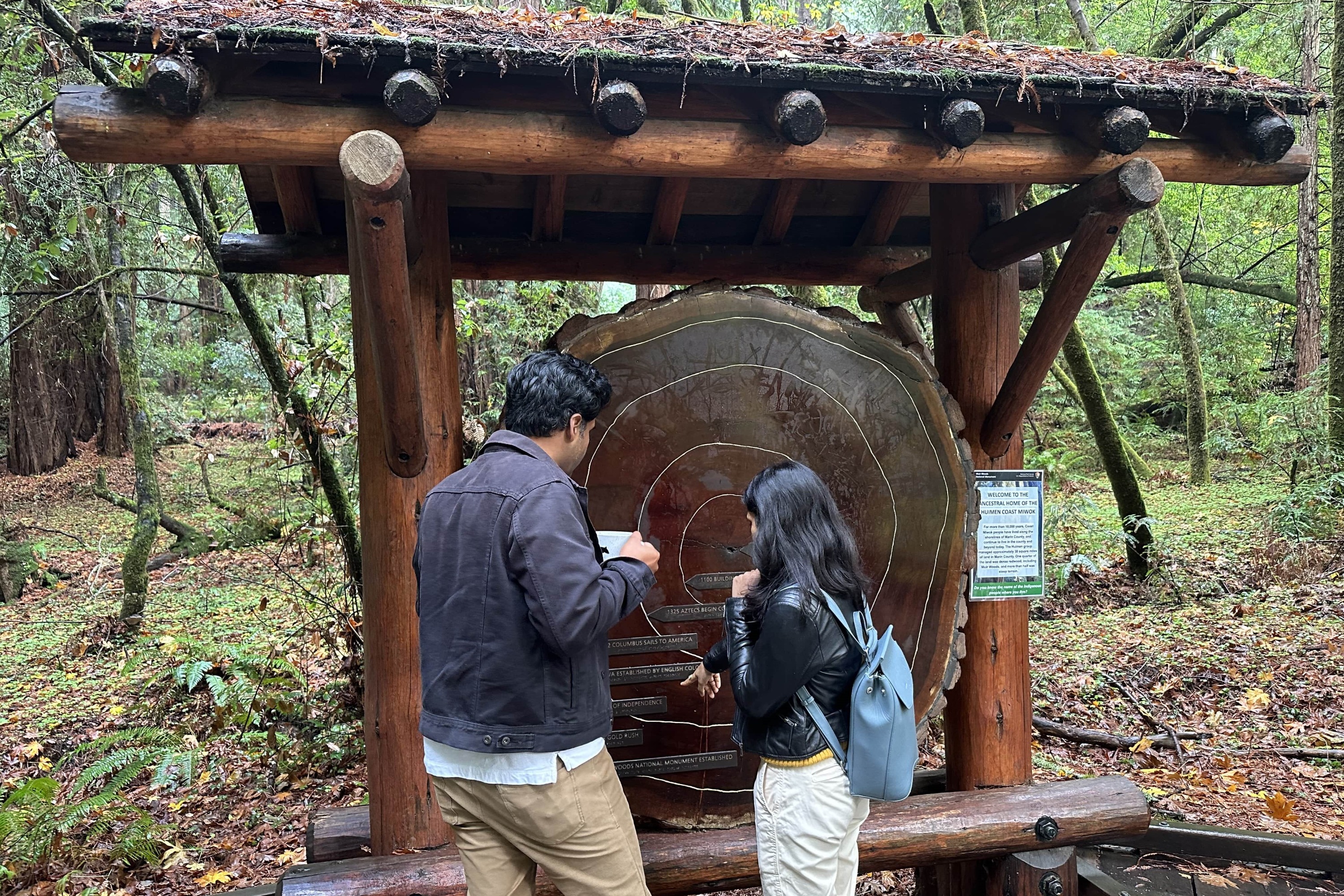 紅杉和加州葡萄酒之鄉之旅（舊金山出發）