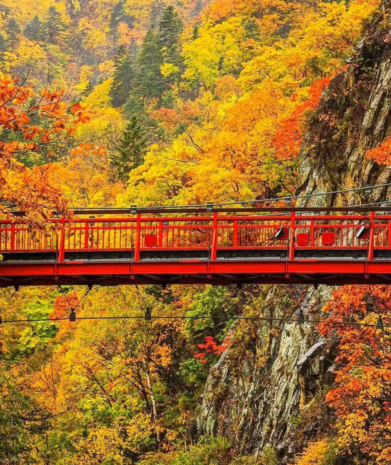 定山溪 豊平峽溫泉
