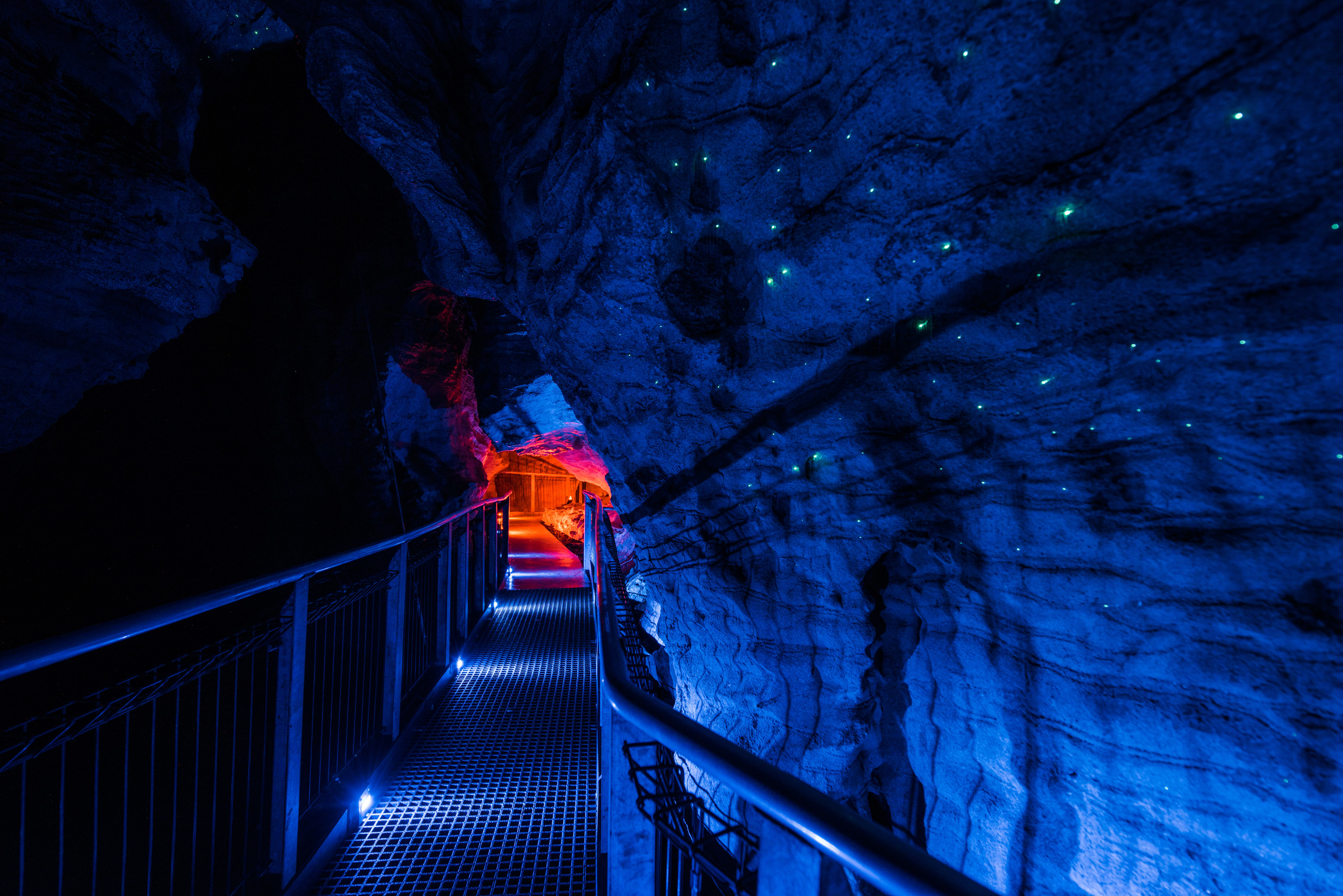 Waitomo Glowworm & Ruakuri Caves Small Group Tour From Auckland