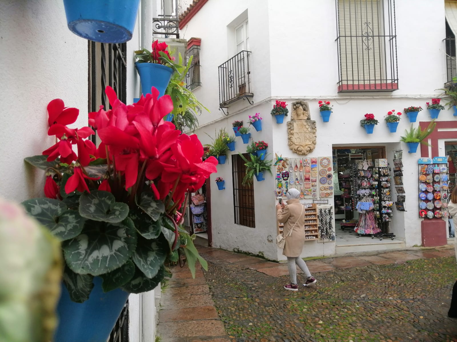 From Granada: Transfer to Seville