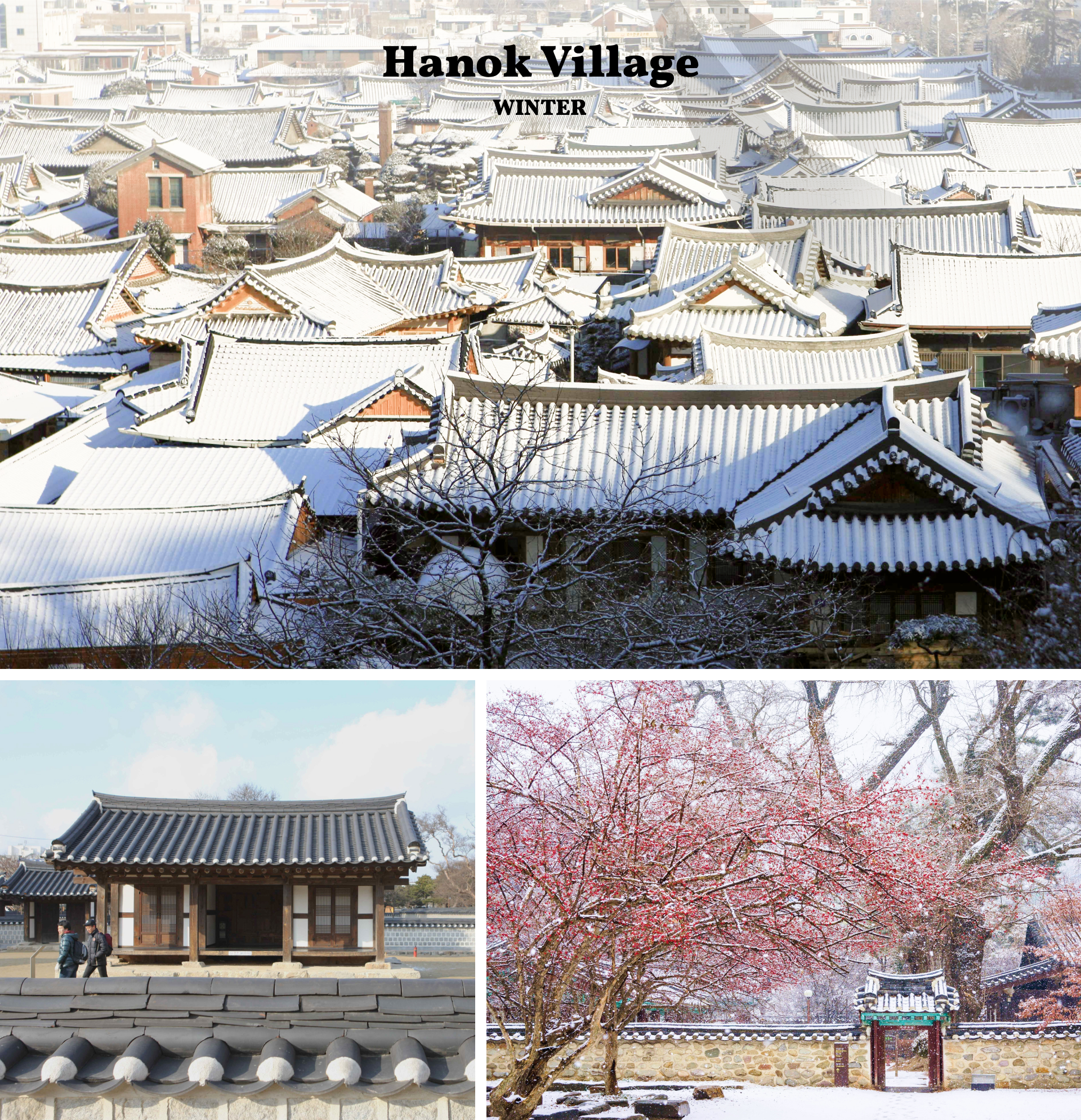 下雪時，全州韓屋村彷彿走進了韓國童話故事。寧靜的小巷、鬆脆的雪聲和發光的燈籠營造出平和浪漫的氛圍。