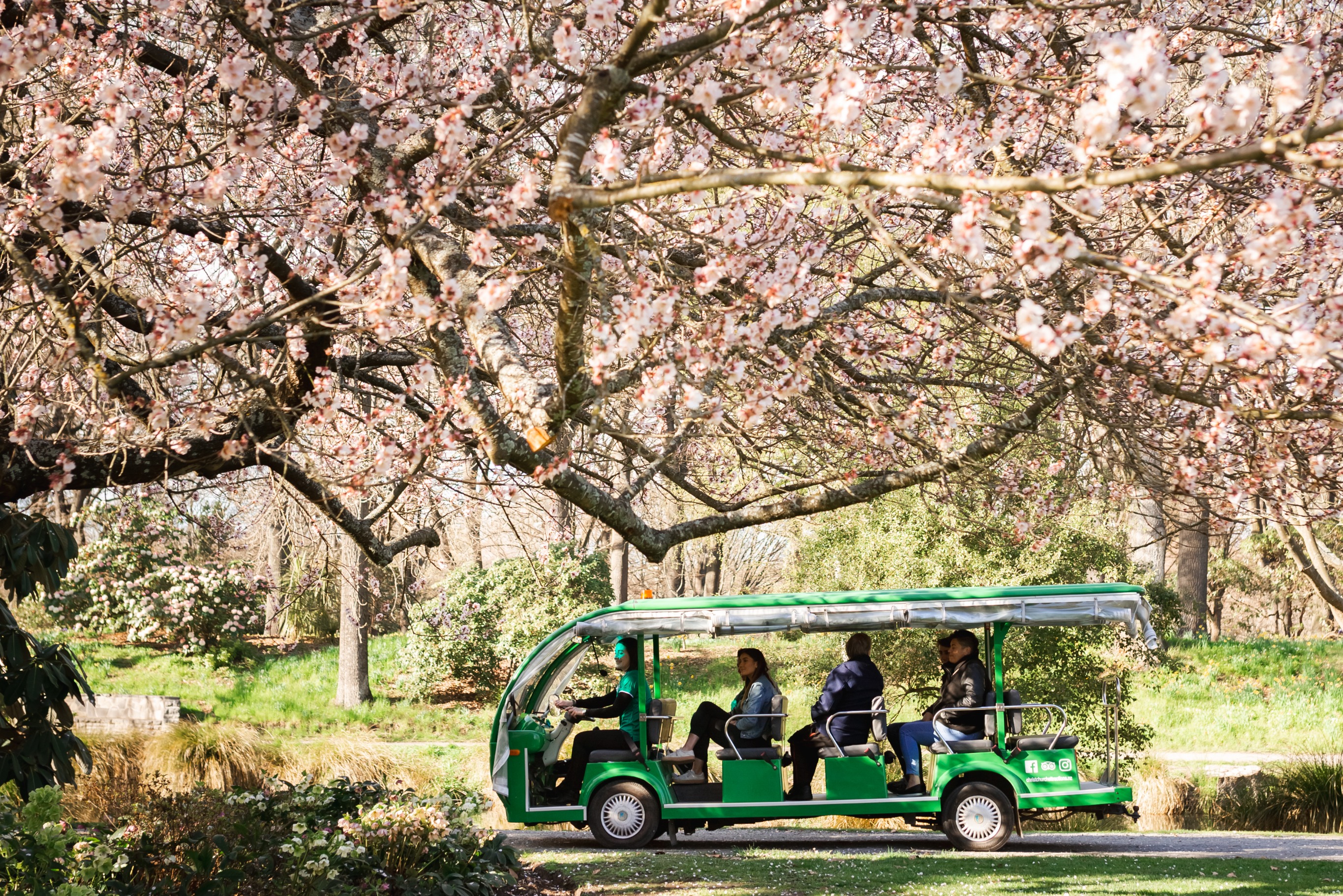 基督城植物園之旅