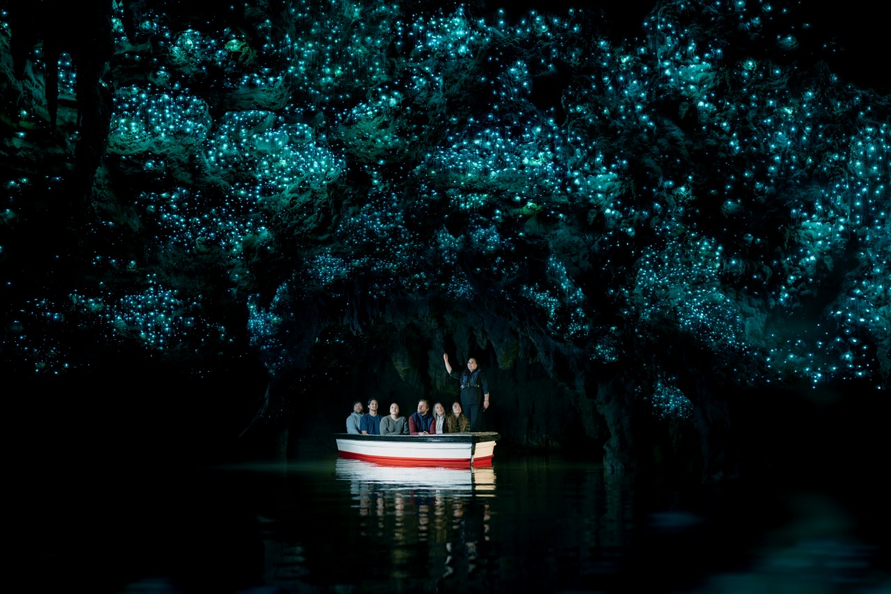 Waitomo Caves & Te Puia Rotorua Small Group Day Tour
