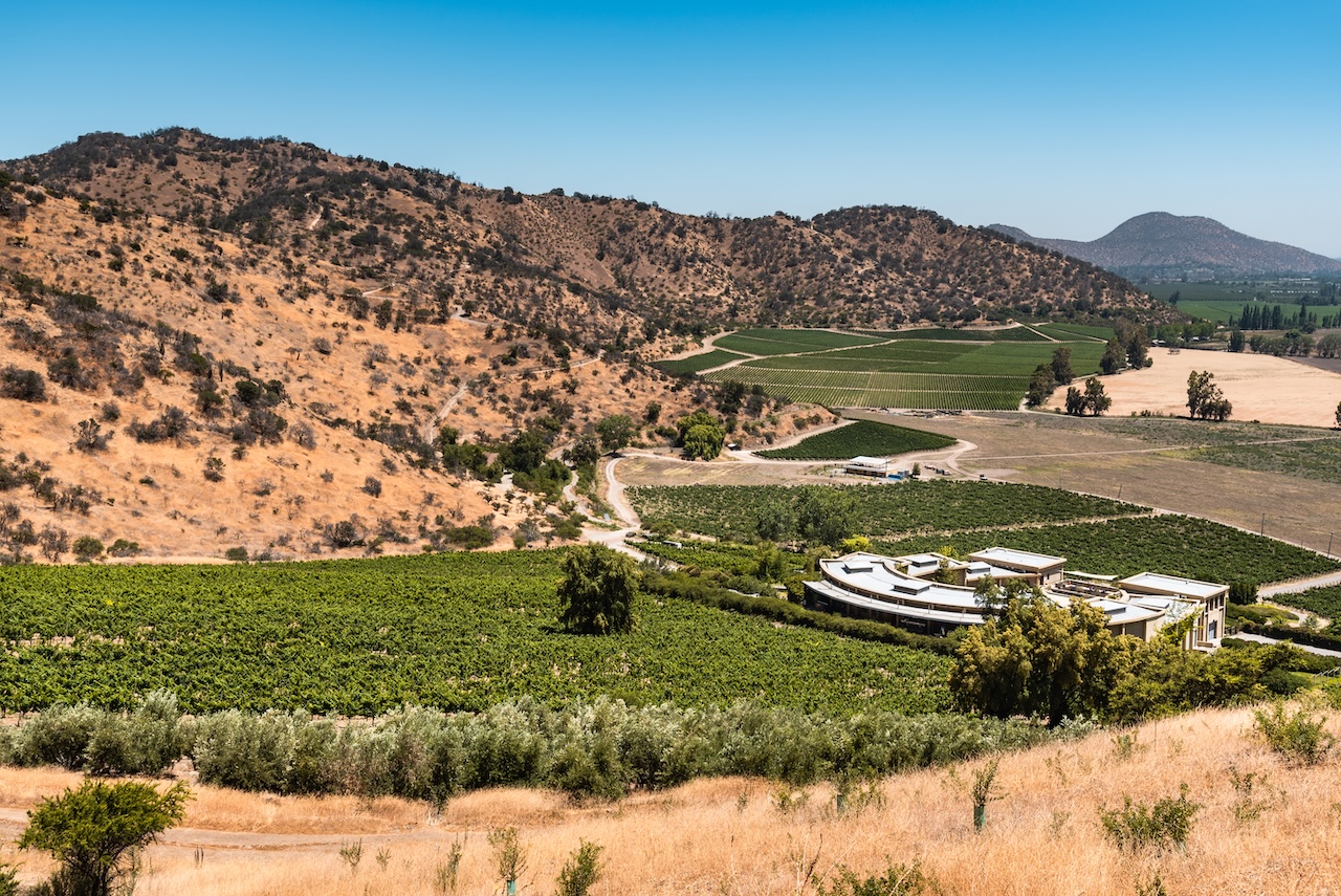 Haras de Pirque Vineyard Tour and Wine Tastings