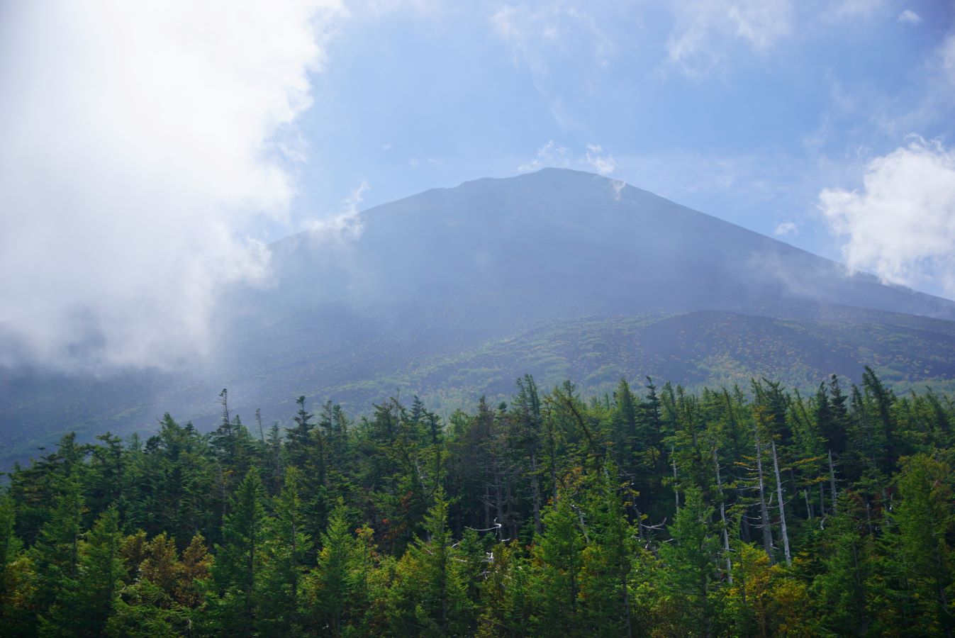 富士山 (Mt. Fuji) & 箱根 (Hakone)  東京 (Tokyo) 出發一日遊