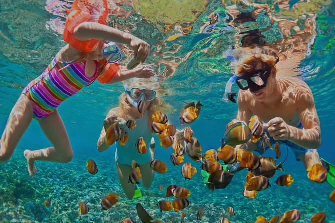 Snorkeling and Dolphin Watching Tour in Muscat 