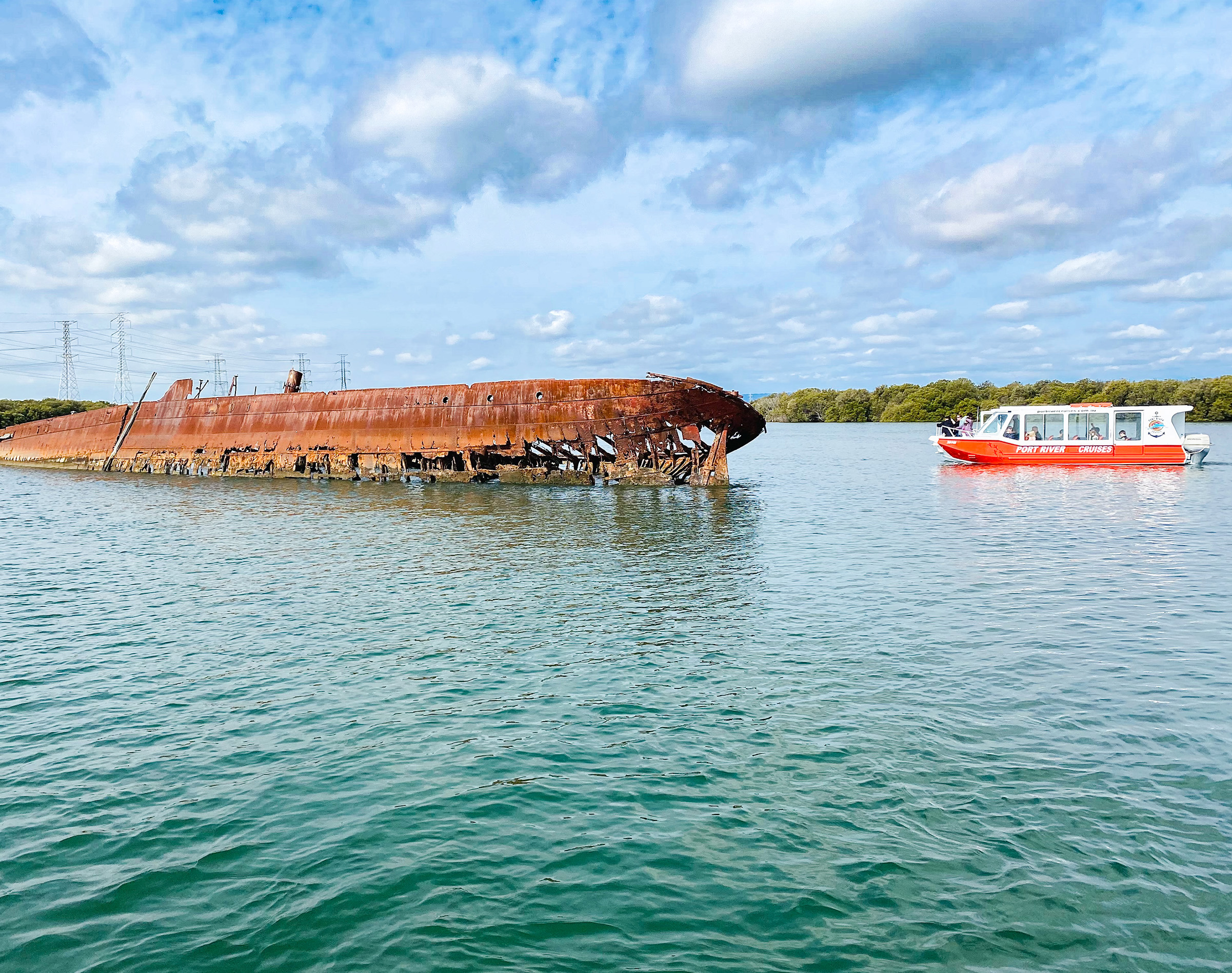 Port River Dolphin &amp; Ships Graveyard Cruise from Port Adelaide