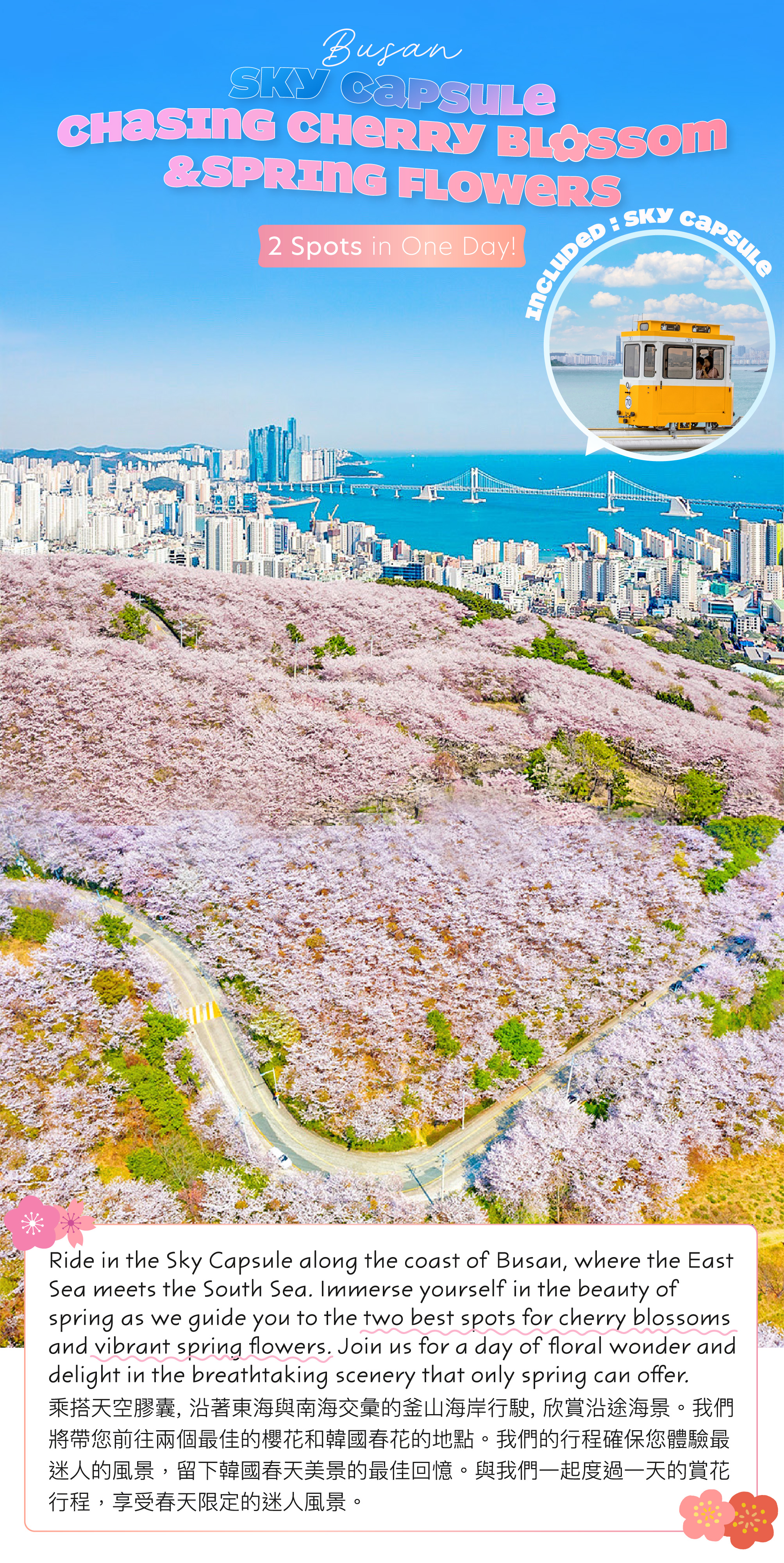 海雲臺天空膠囊列車&追逐櫻花一日遊（釜山出發）