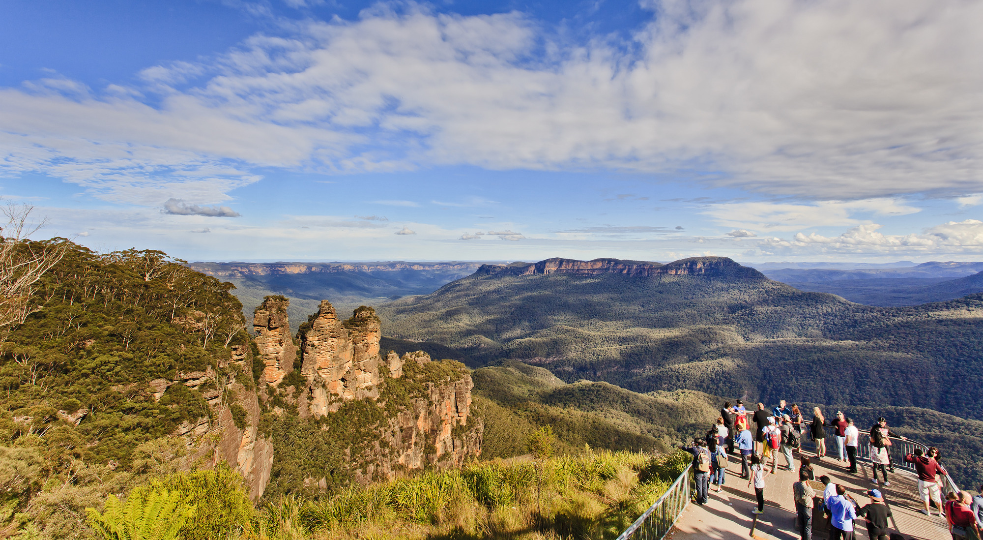 Australian Wildlife, Blue Mountains & Scenic World Private Tour