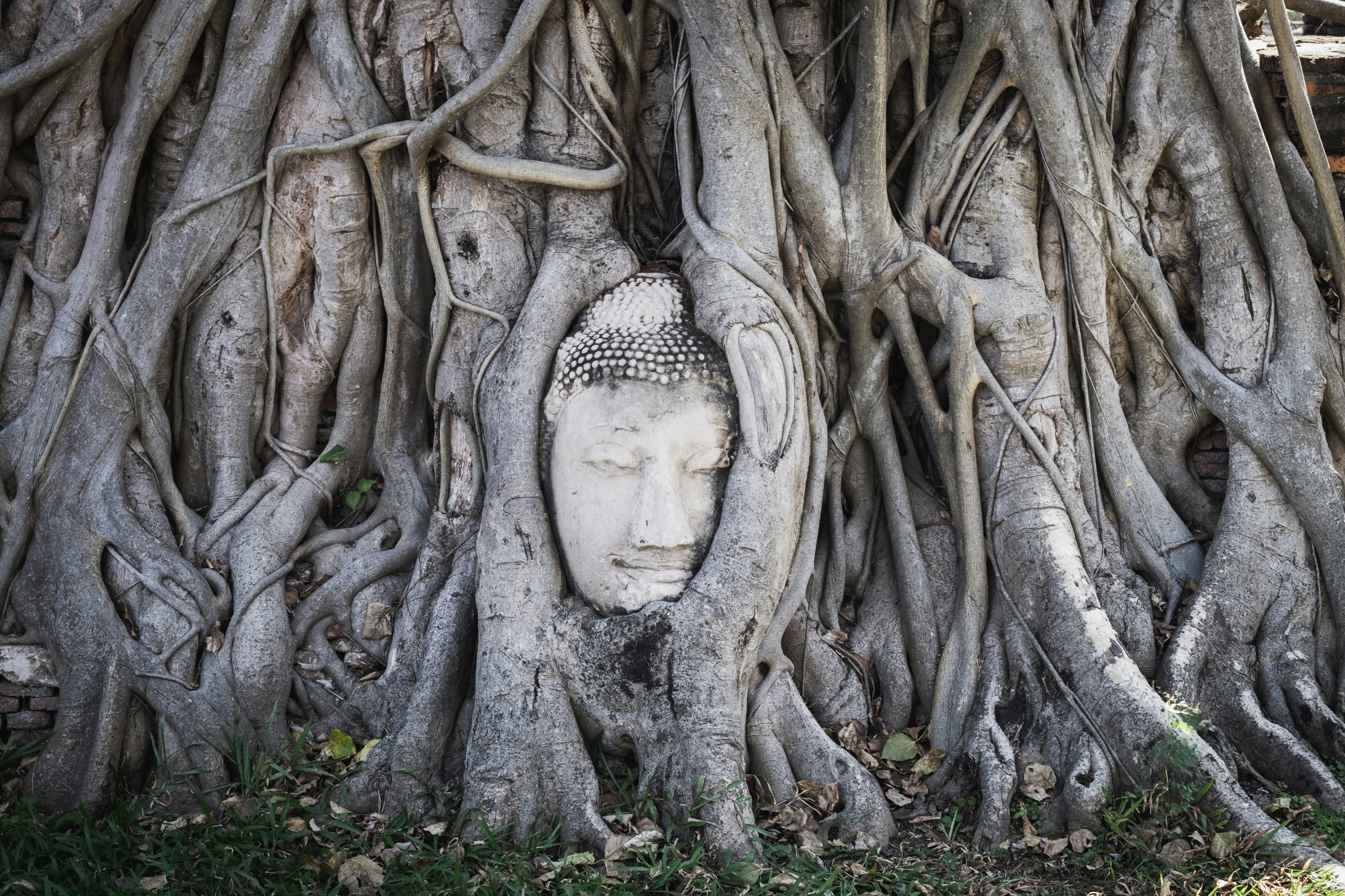 Ayutthaya Iconic Temple Tour With Sunset Boat Ride