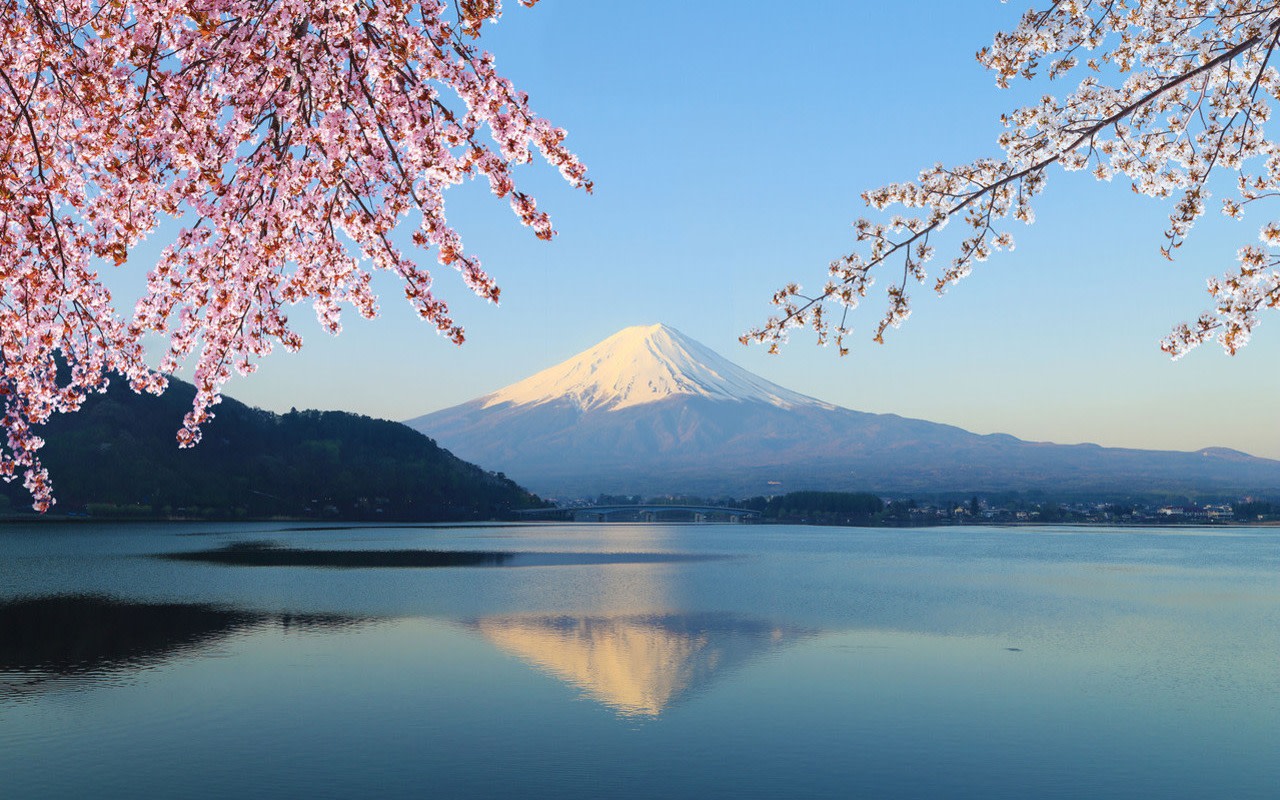 Mt. Fuji Day Tour: 5th Station, Arakurayama Sengen Park and Matcha